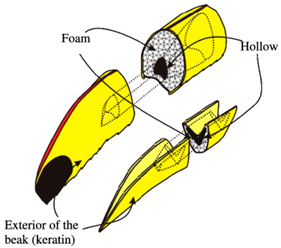 Materials 18 01377 i014