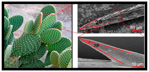 Materials 18 01377 i017