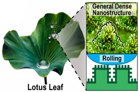 Materials 18 01377 i026