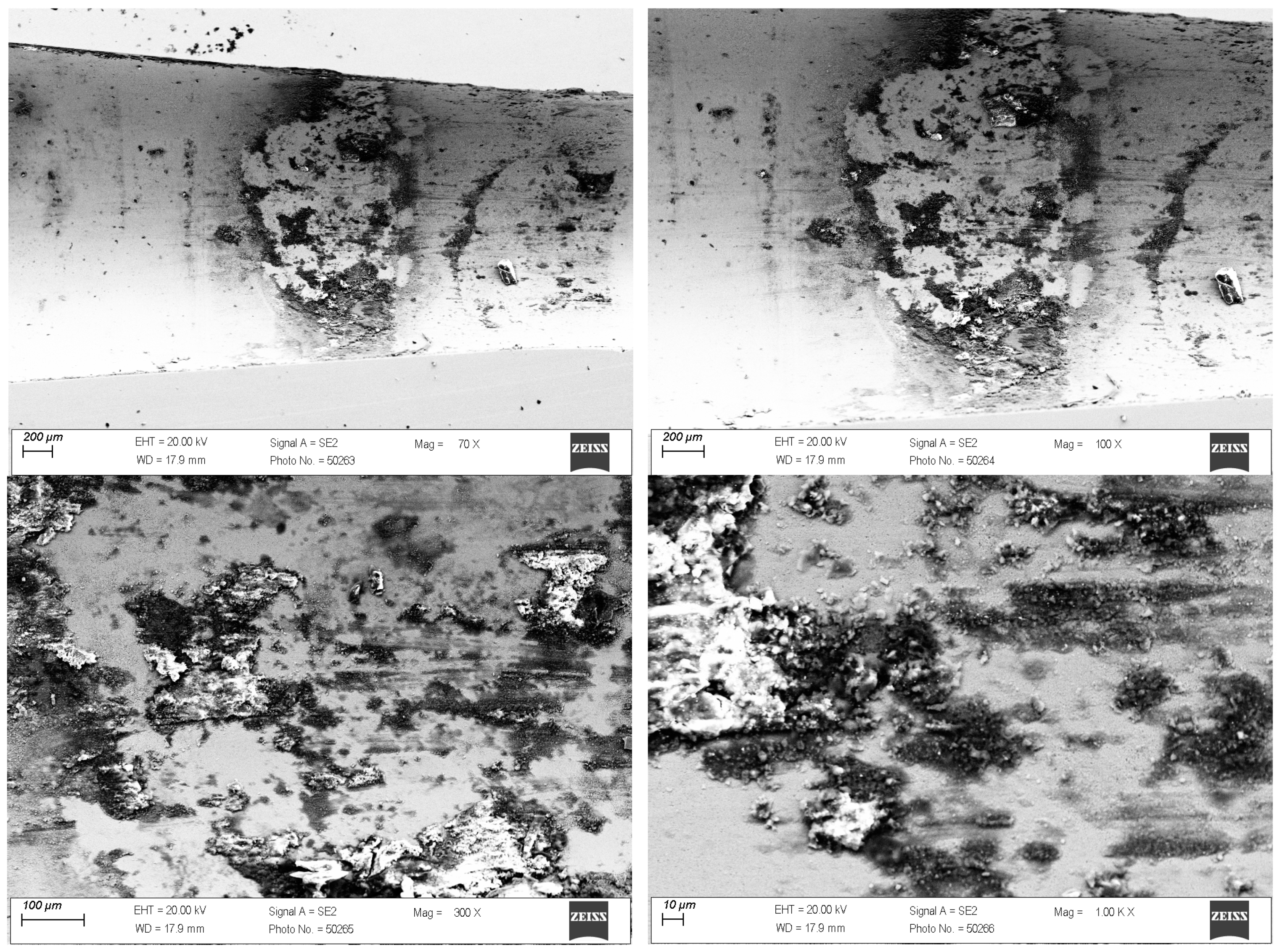 Materials 18 01409 g003