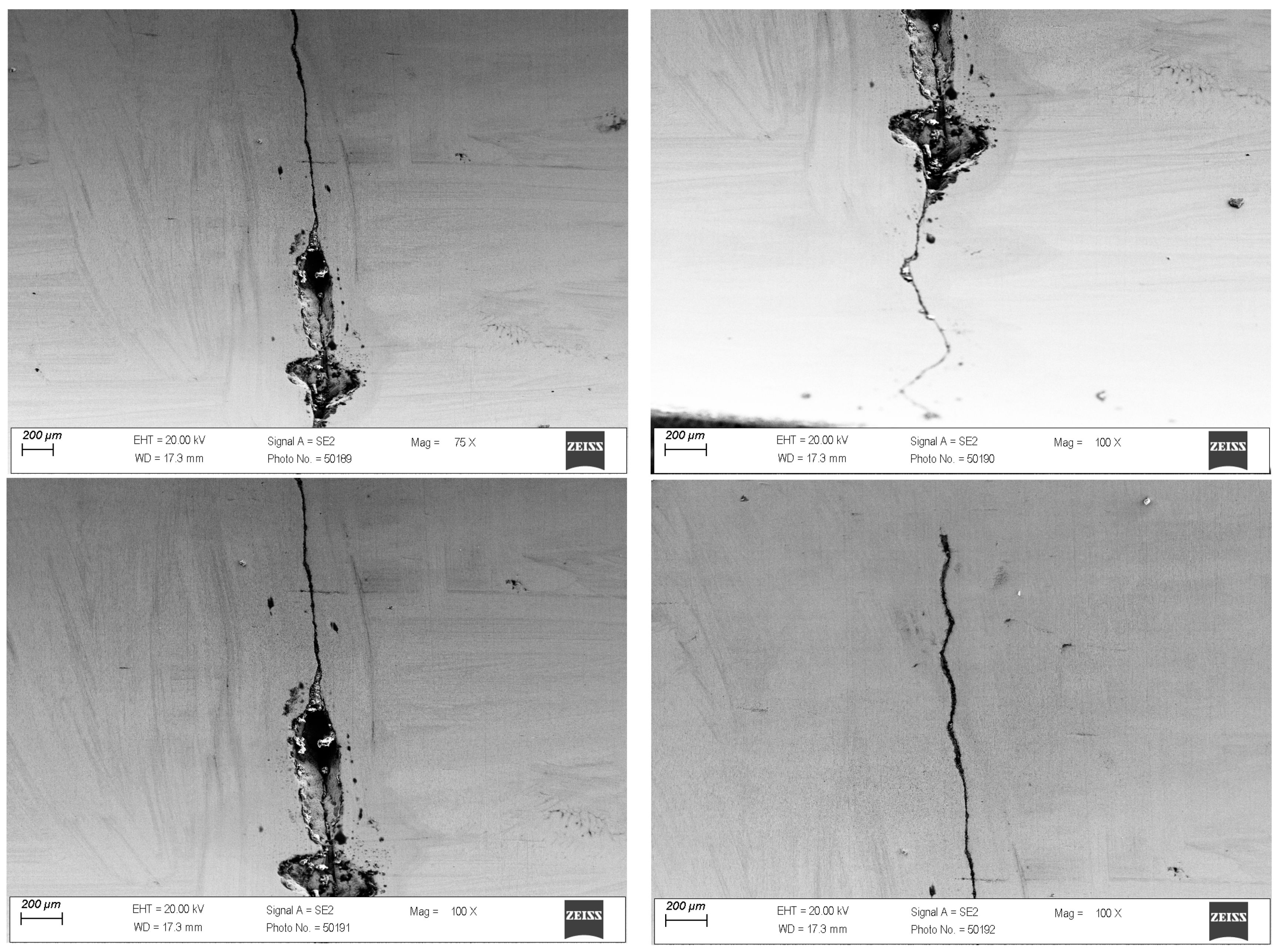 Materials 18 01409 g006