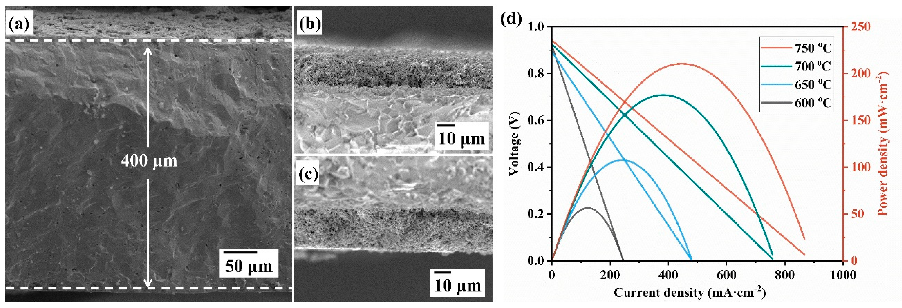 Materials 18 01460 g010 Materials 18 01460 g010
