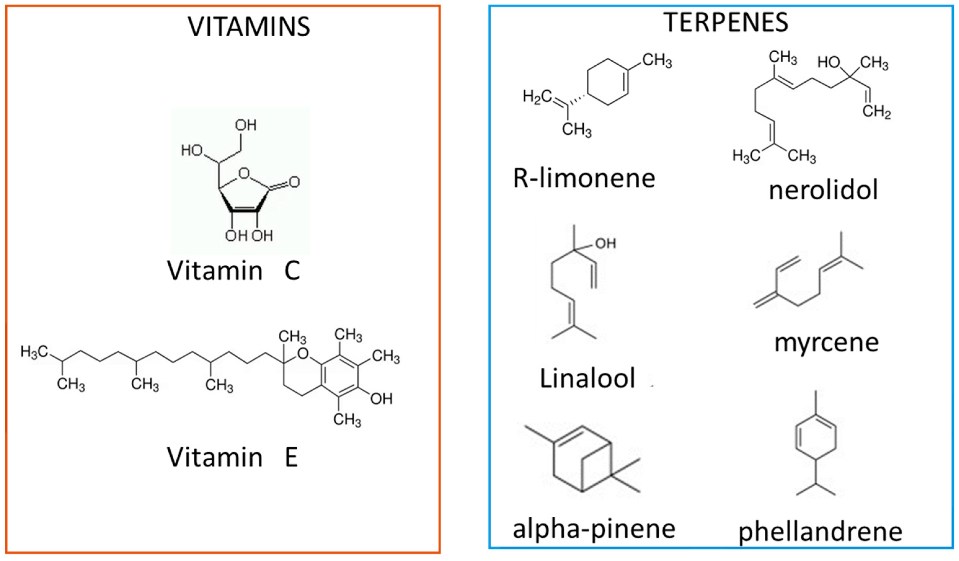 Materials 18 01464 g004