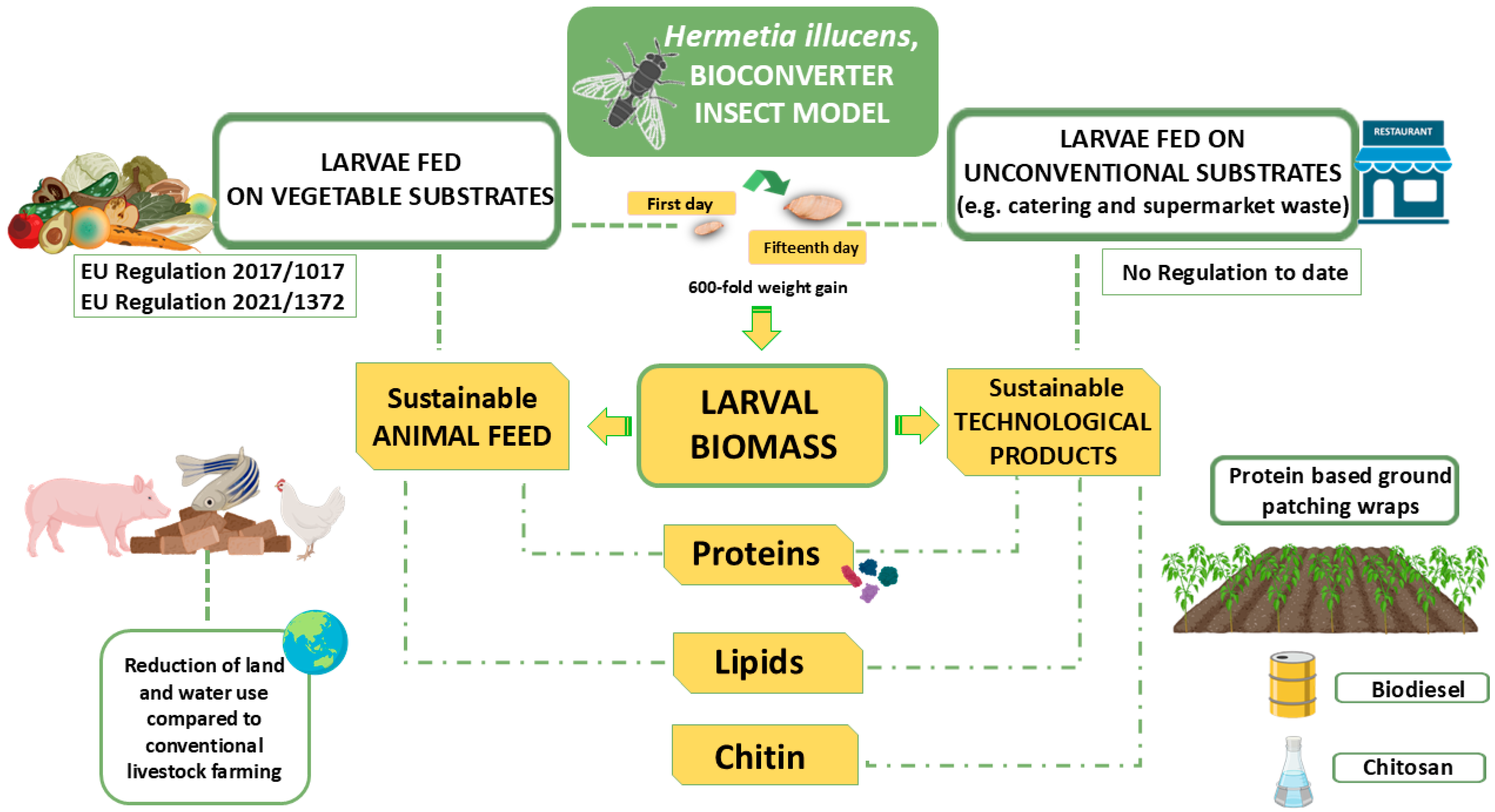 Materials 18 01464 g007