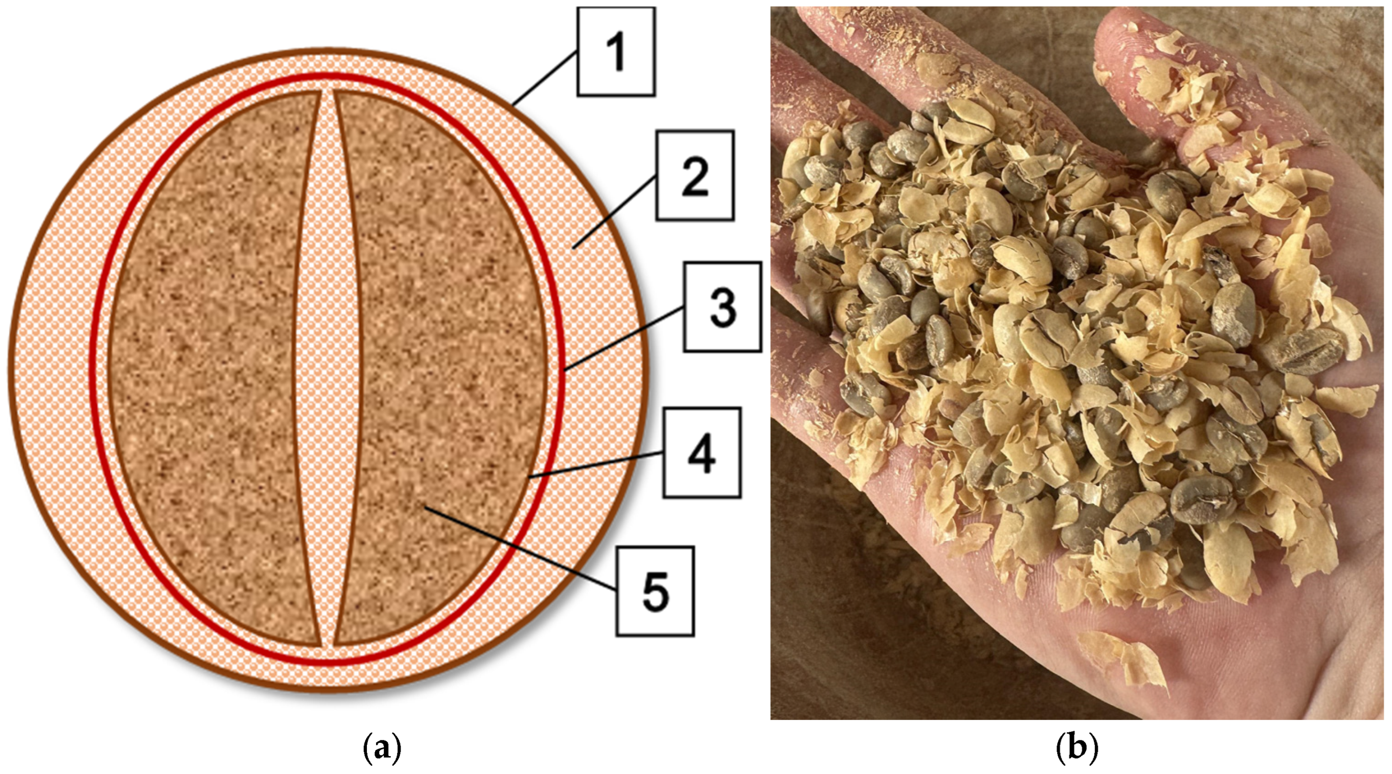Materials 18 01525 g001