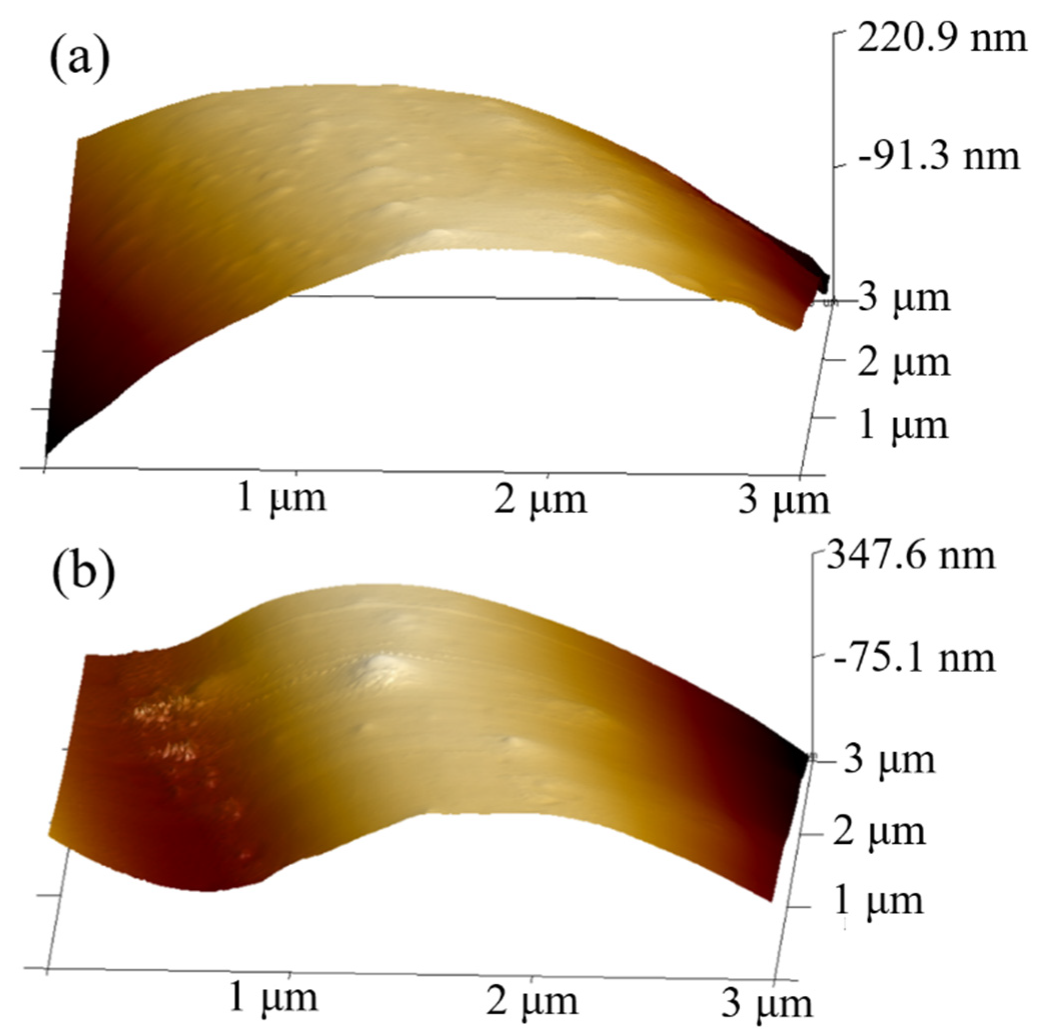 Materials 18 01532 g007