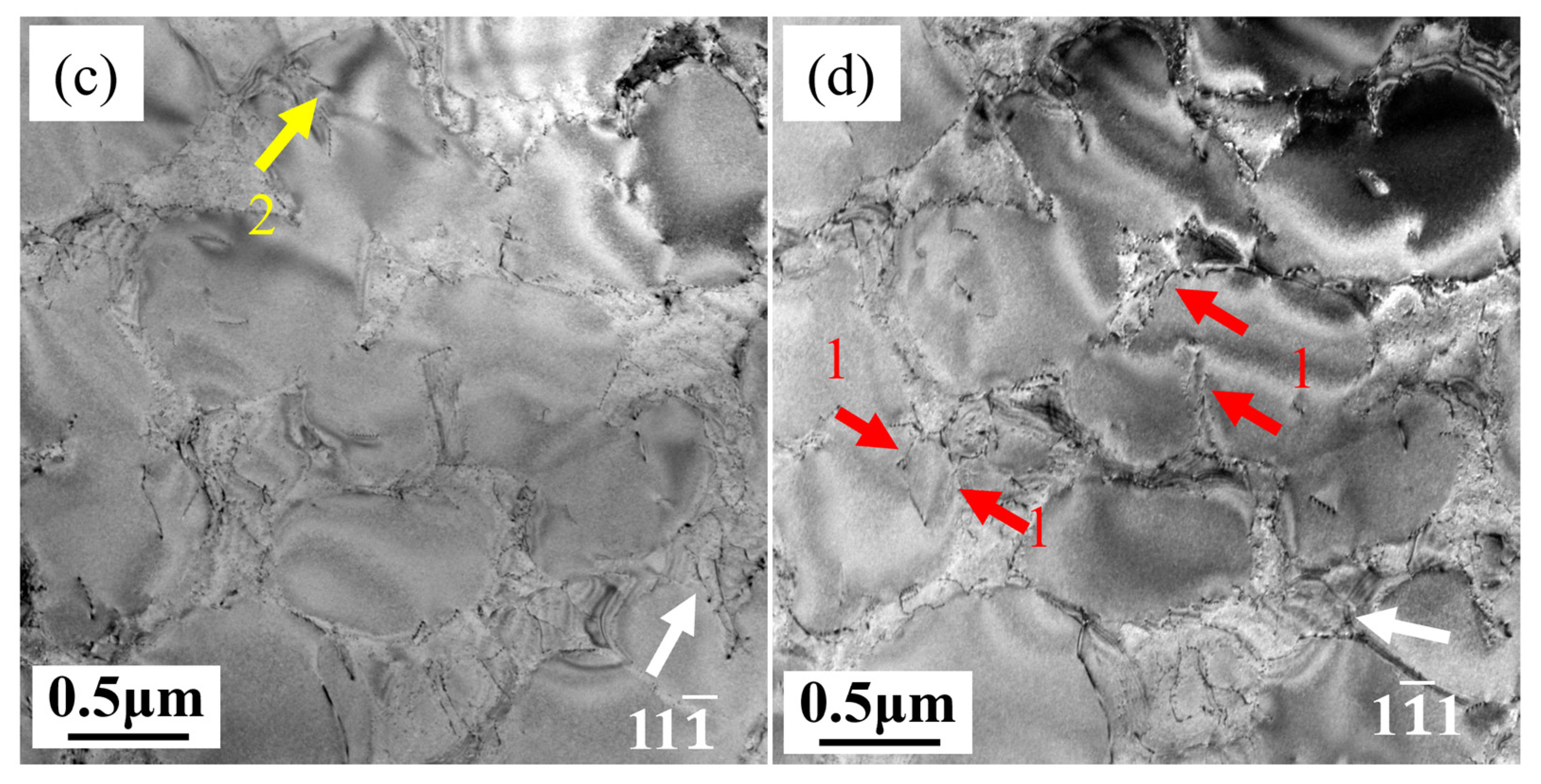 Materials 18 01540 g009b