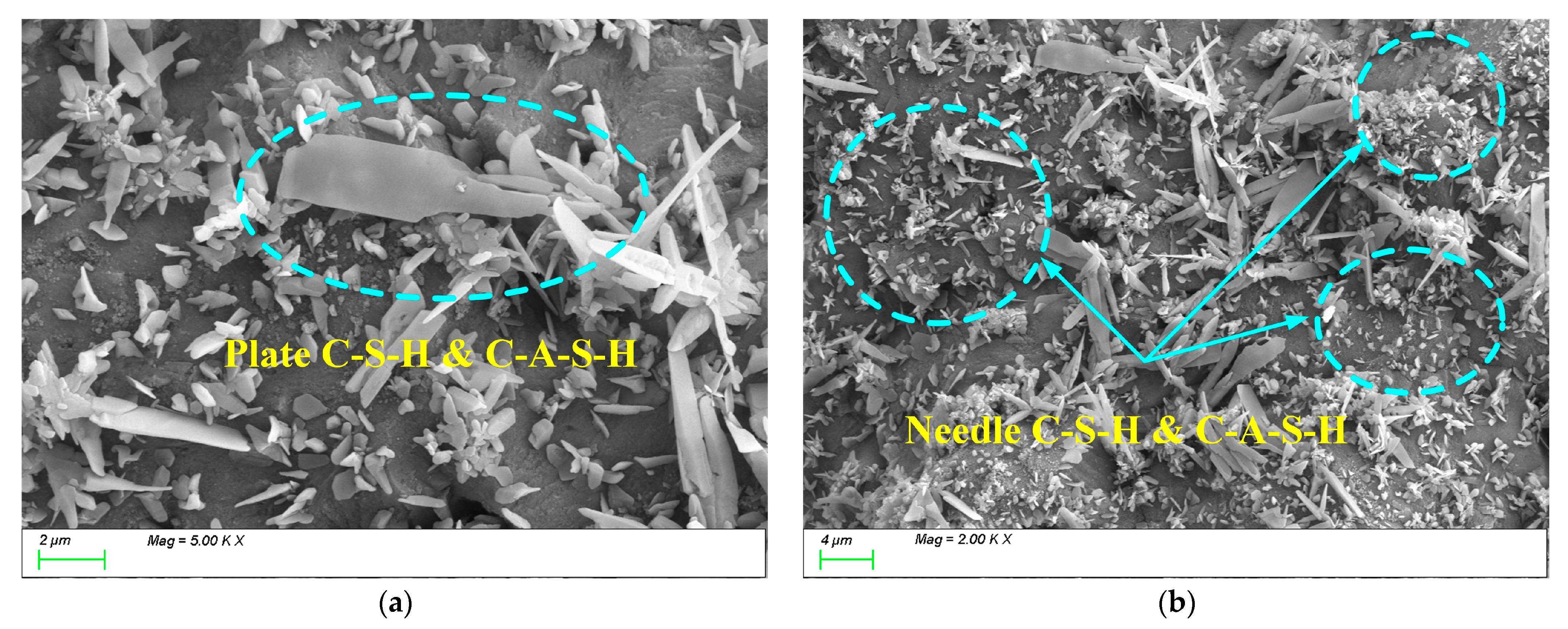 Materials 18 01559 g019