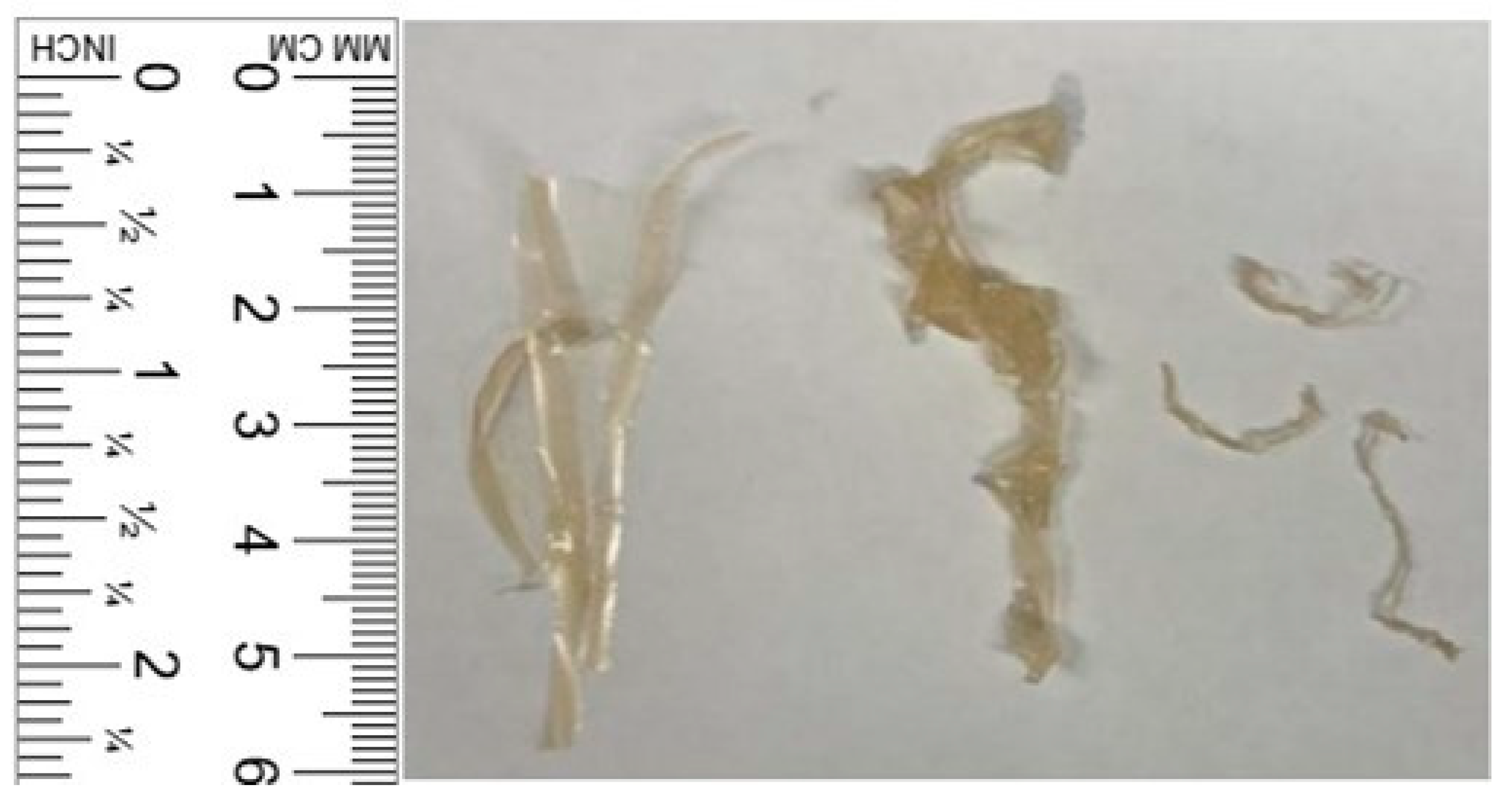 Materials 18 01574 g002