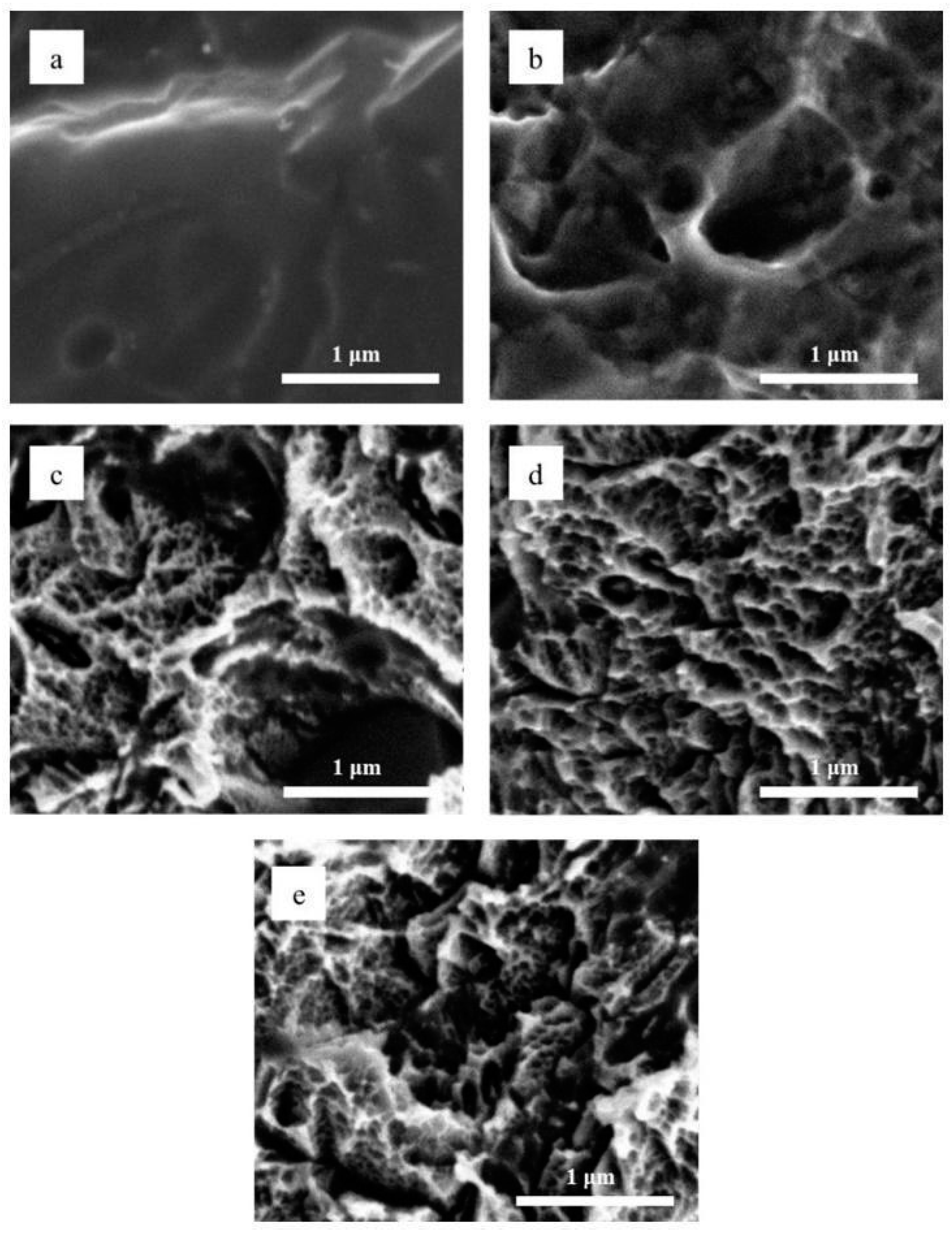 Materials 18 01632 g004