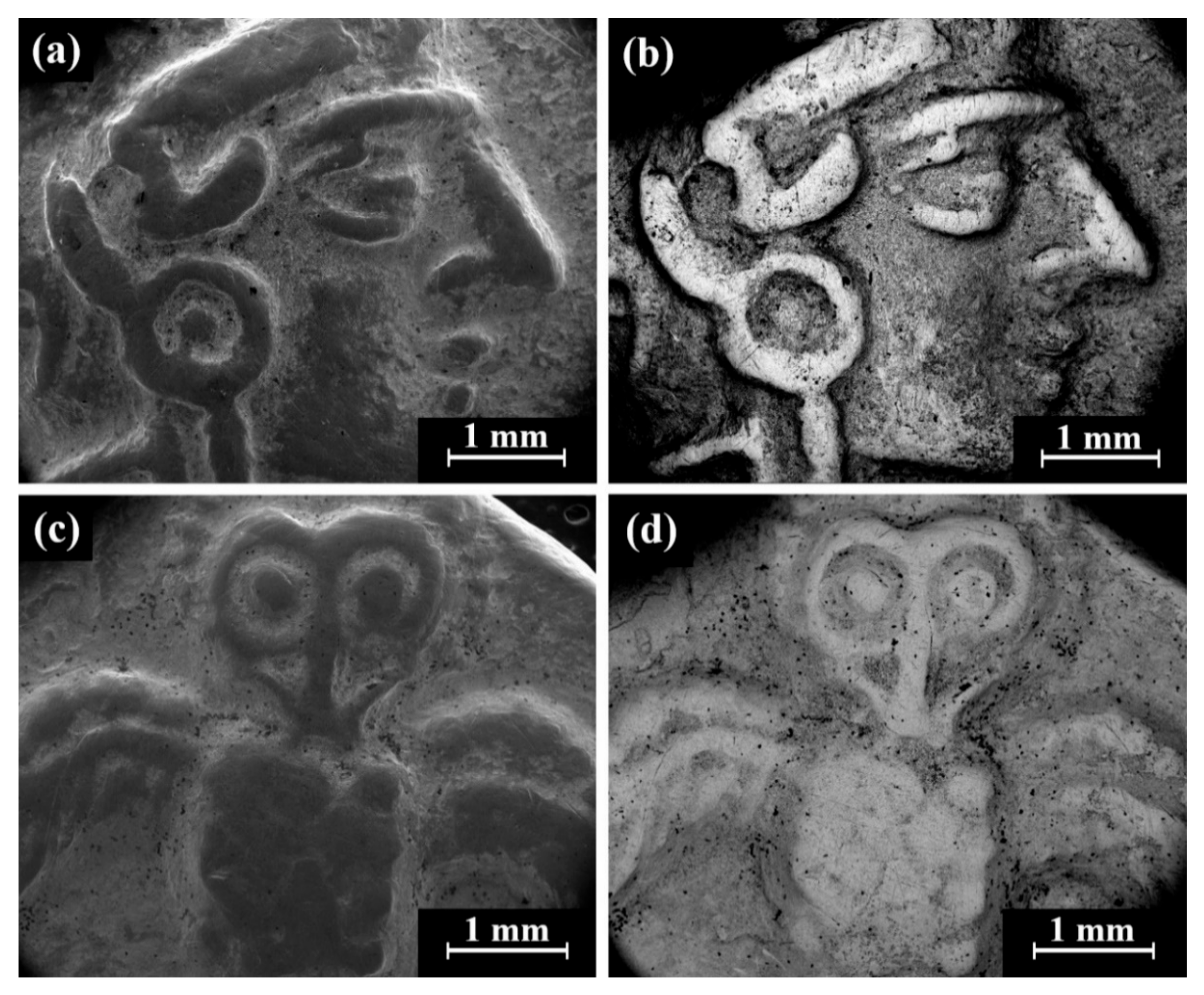 Materials 18 01678 g005 Materials 18 01678 g005