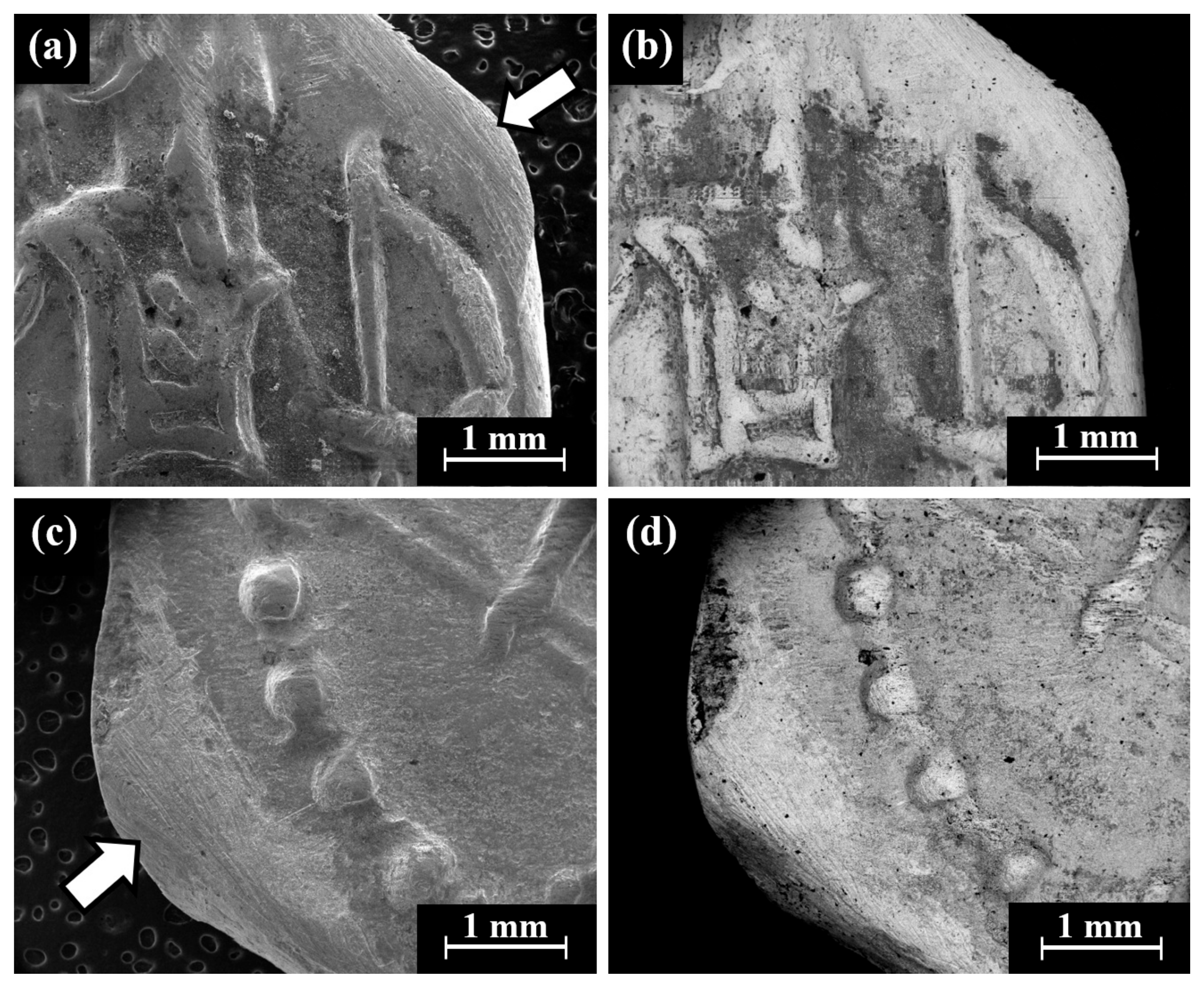 Materials 18 01678 g007 Materials 18 01678 g007