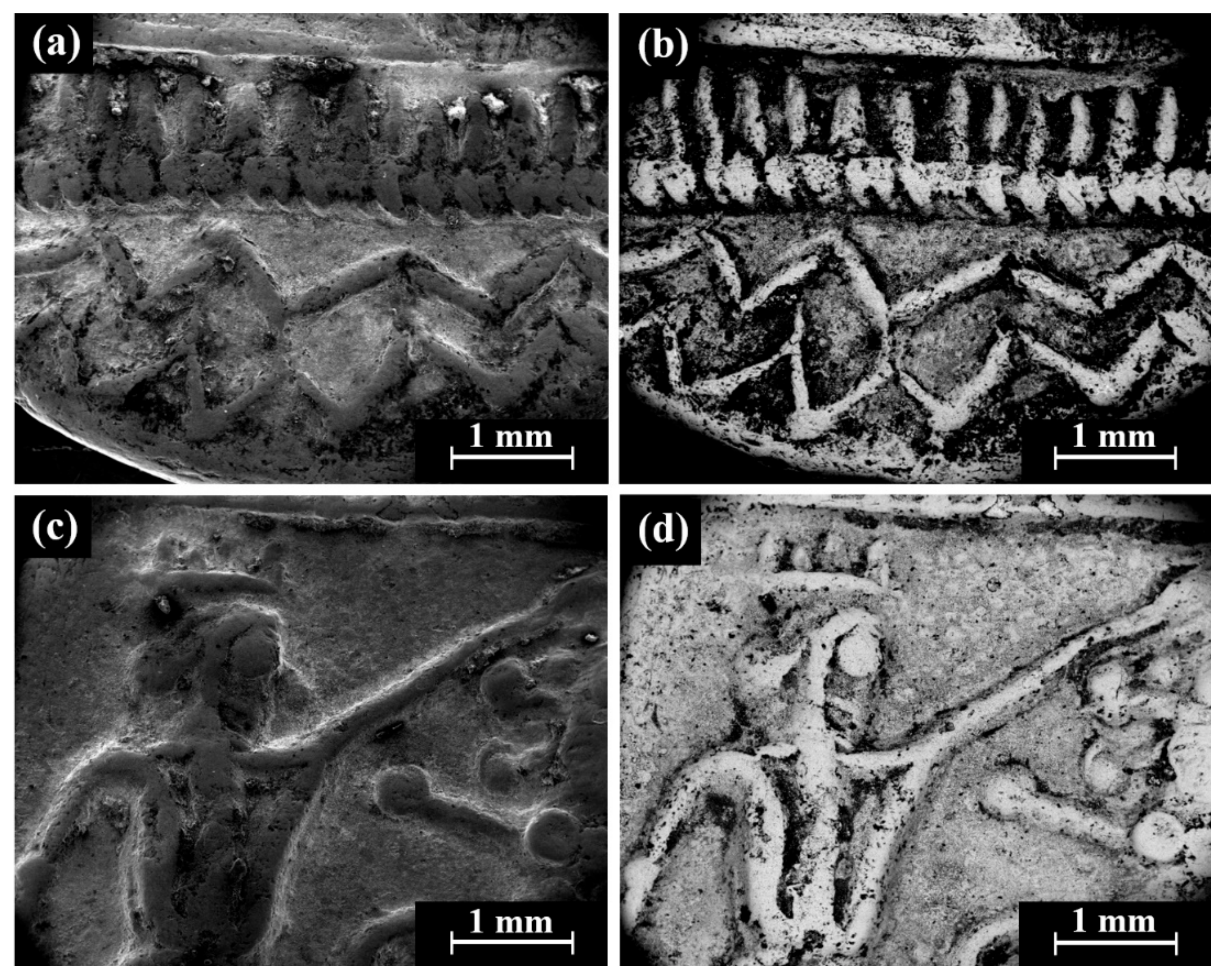 Materials 18 01678 g008 Materials 18 01678 g008
