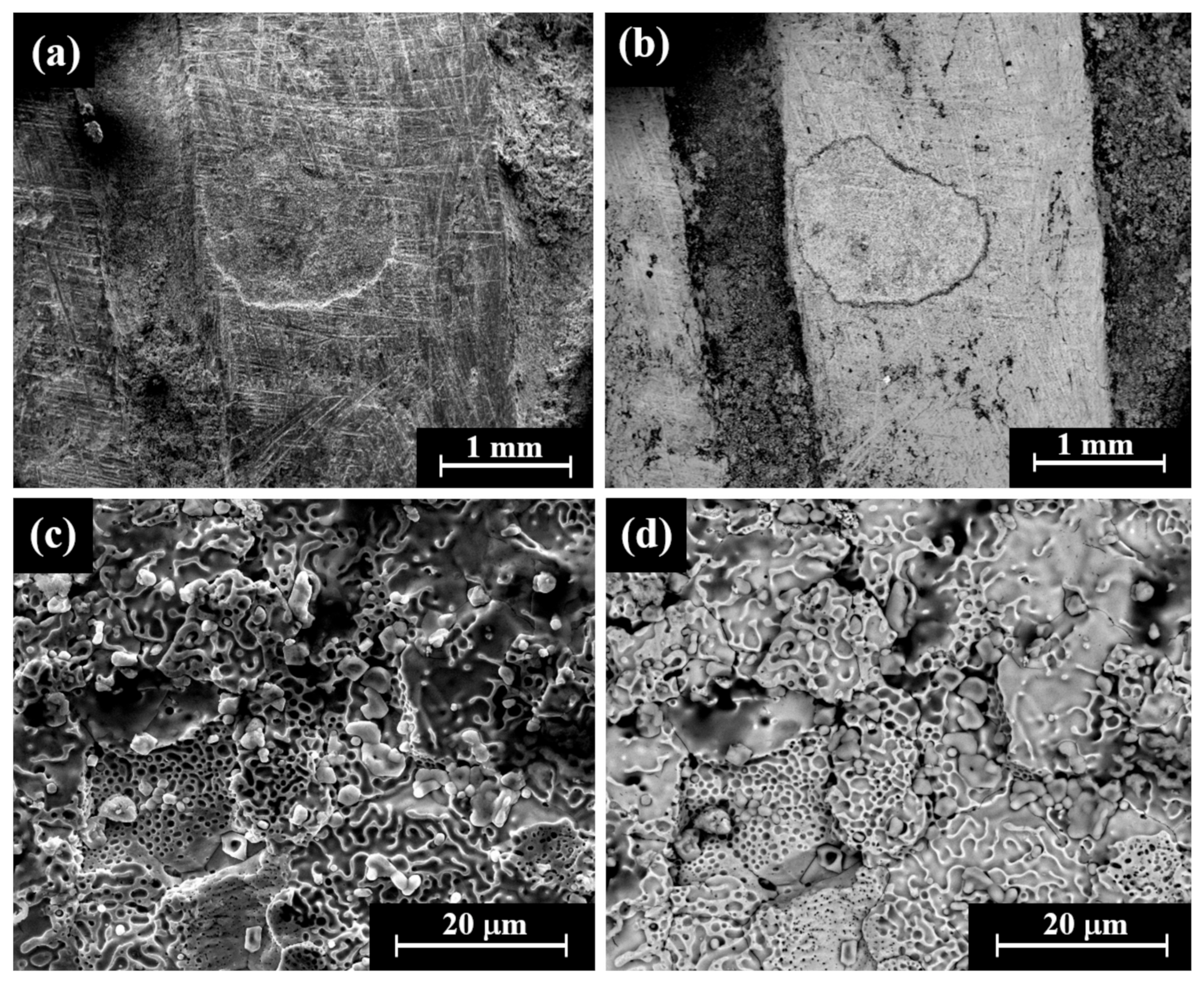 Materials 18 01678 g009 Materials 18 01678 g009