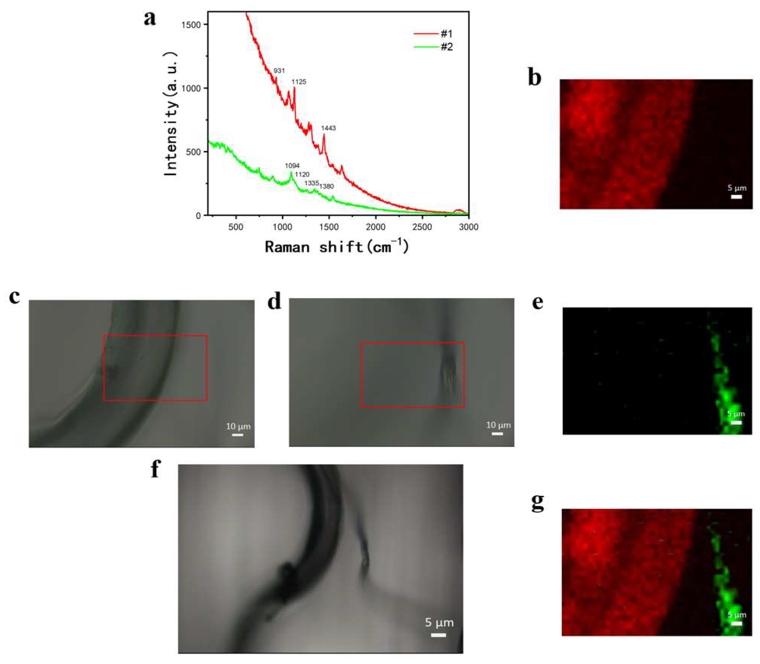 Materials 18 01682 g004