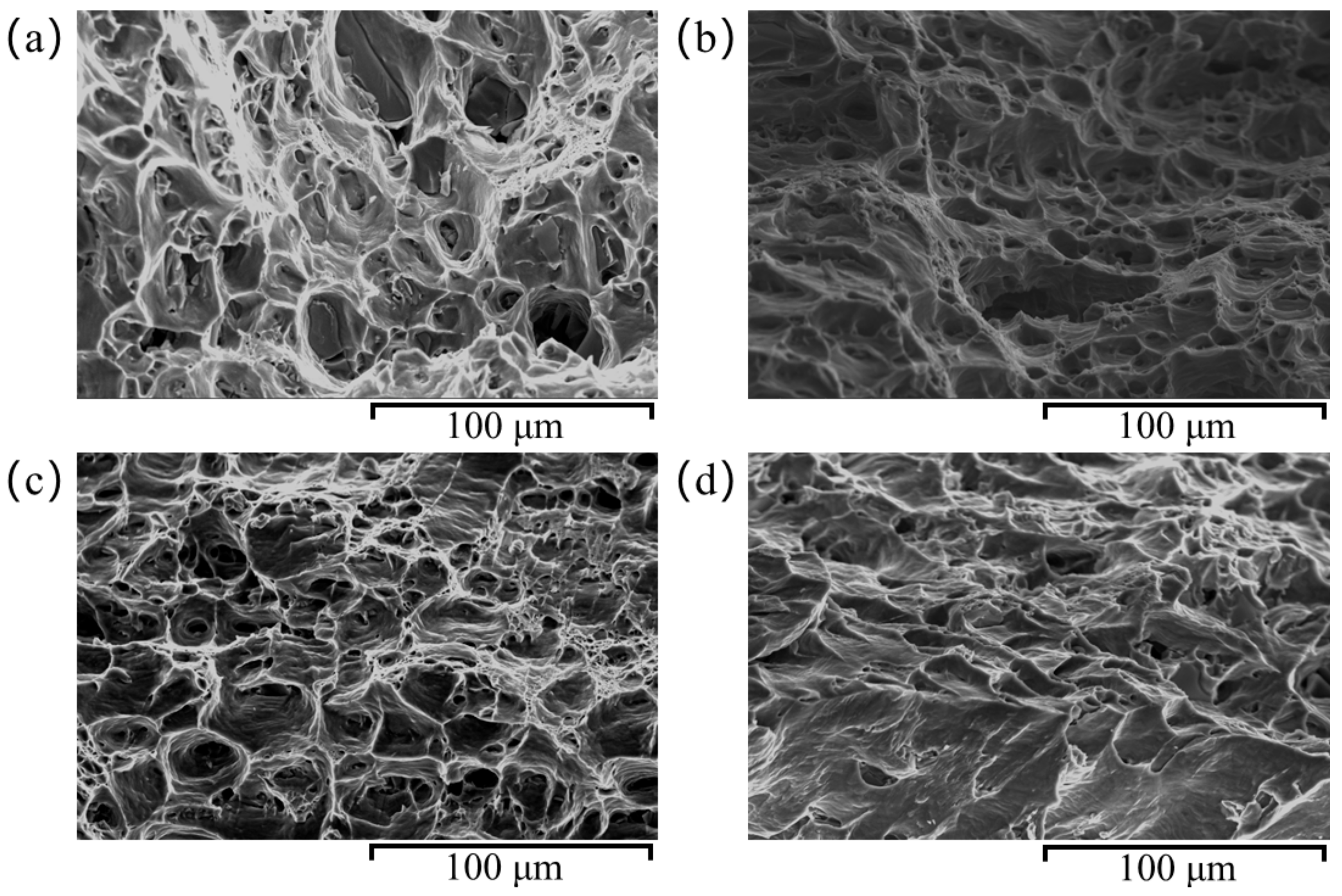 Materials 18 01705 g012