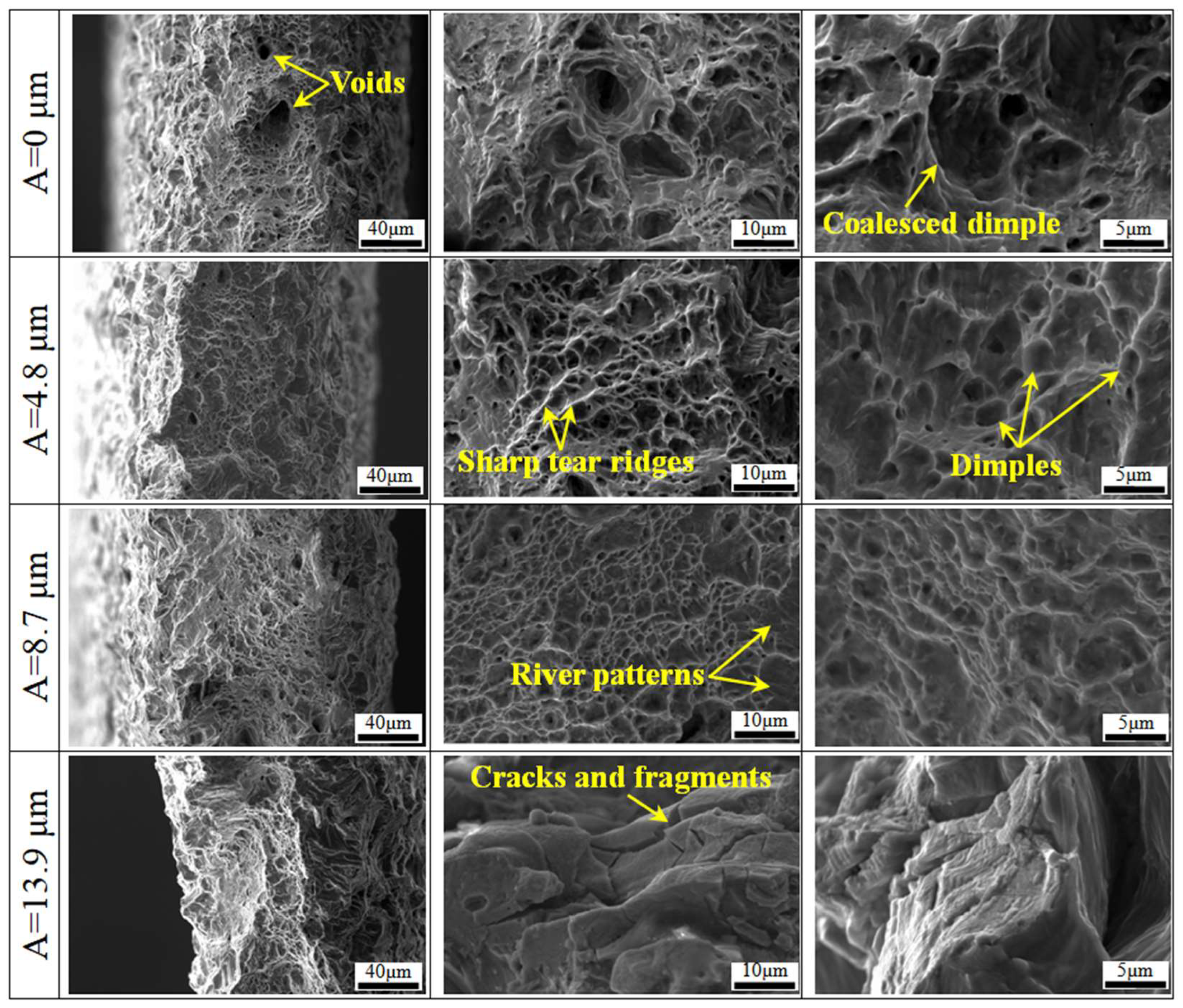Materials 18 01712 g008