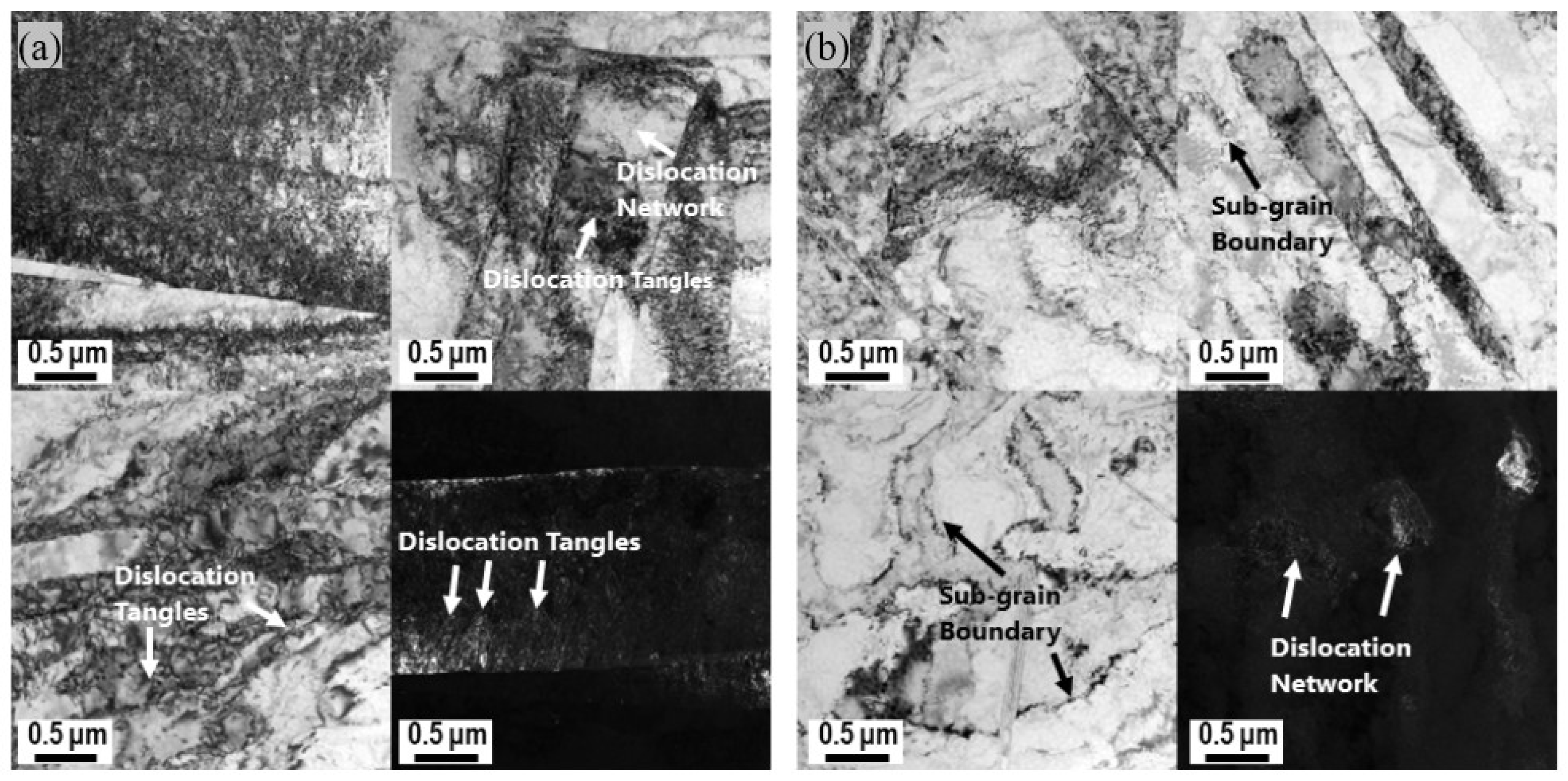 Materials 18 01712 g016