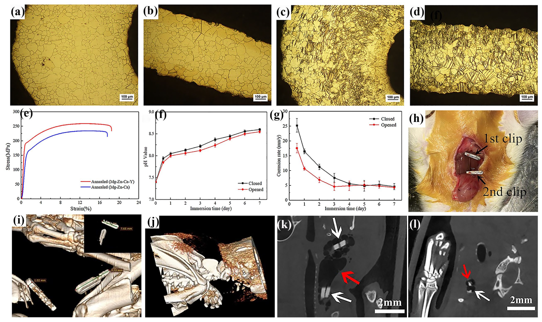 Materials 18 01718 g010