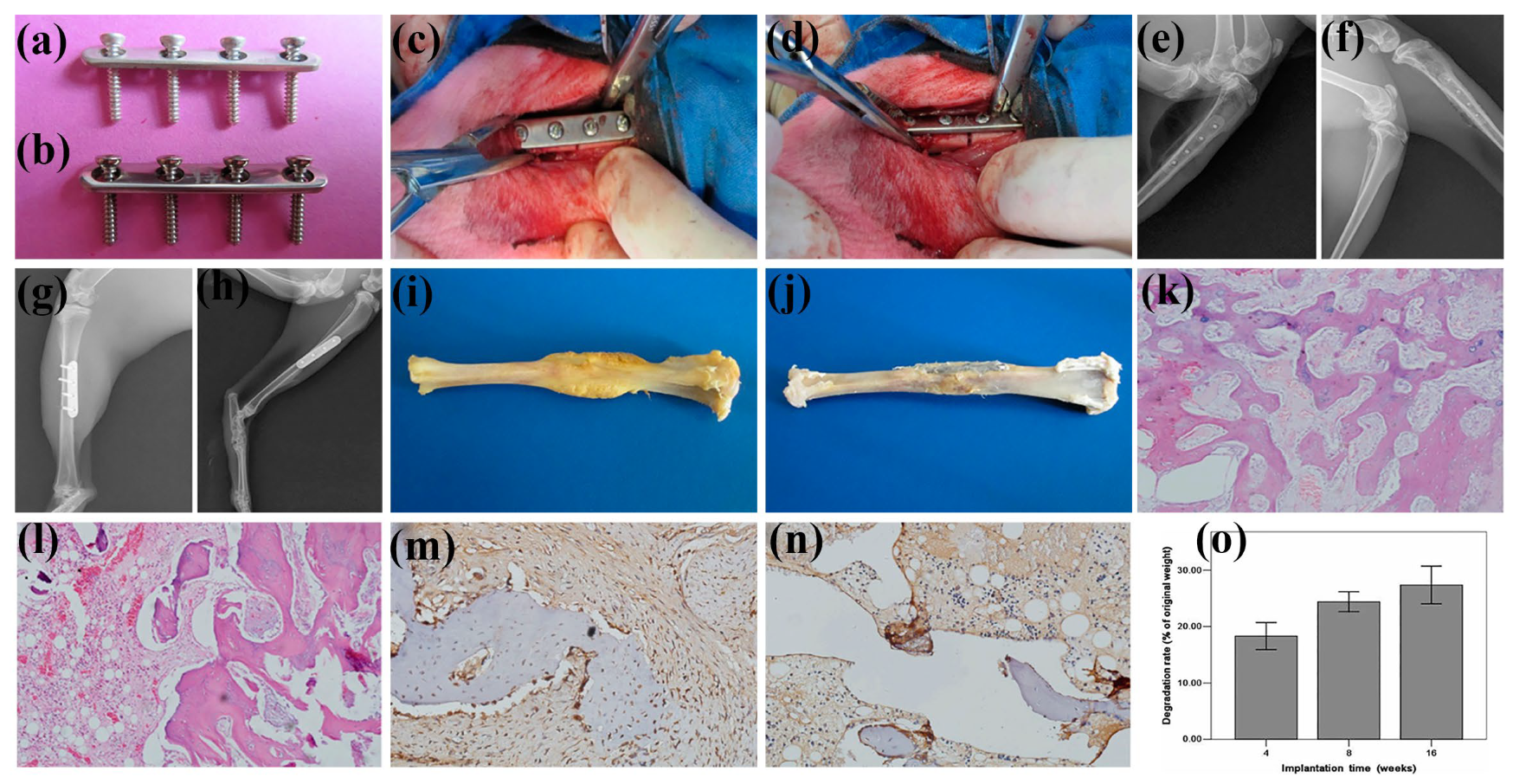 Materials 18 01718 g012