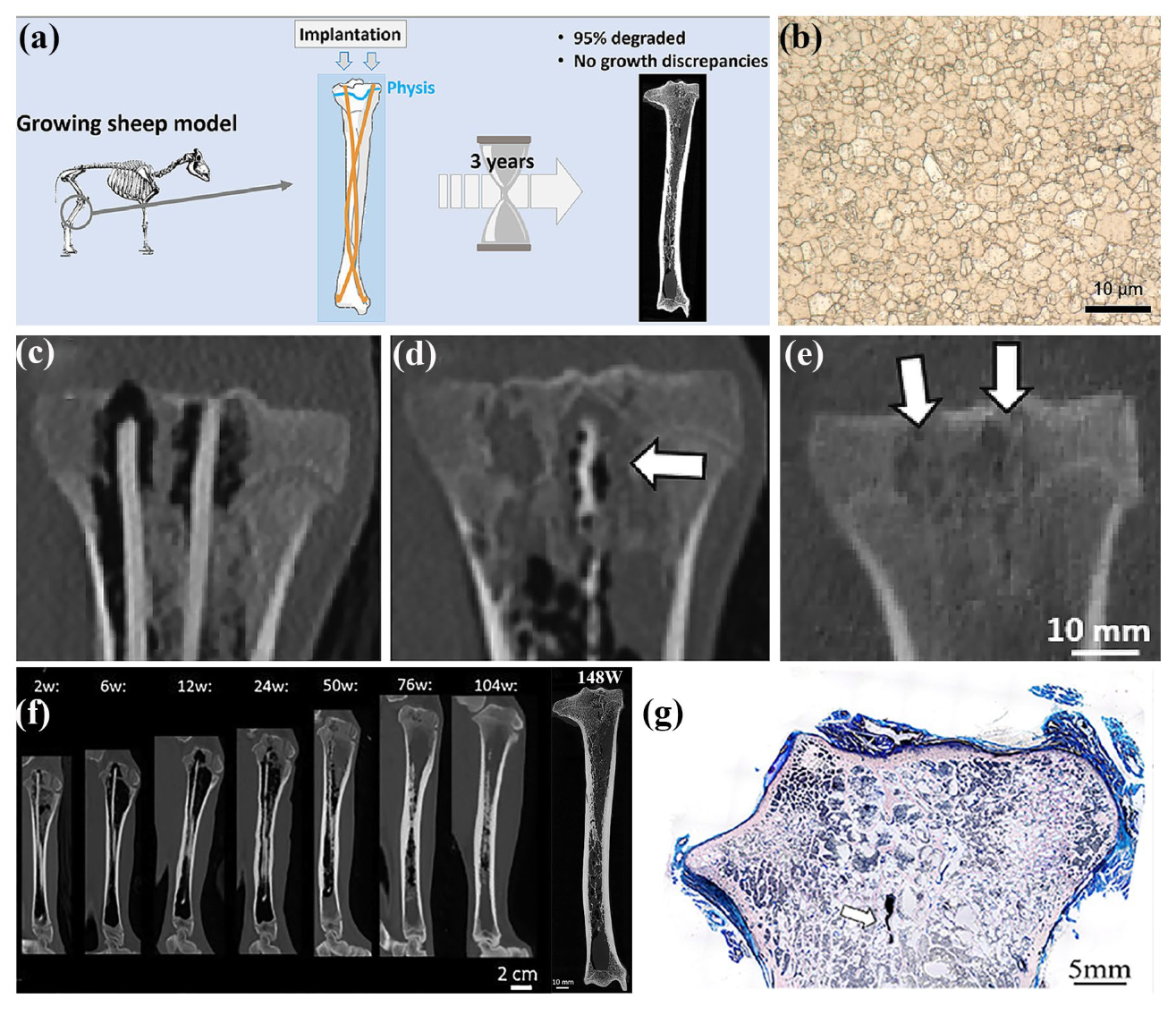 Materials 18 01718 g013