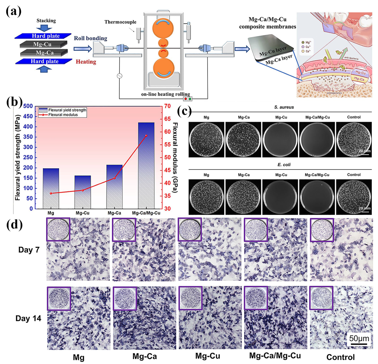 Materials 18 01718 g015