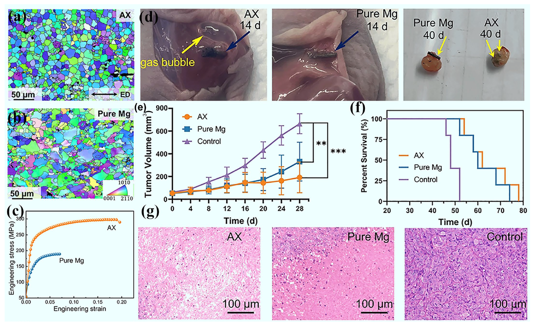 Materials 18 01718 g016