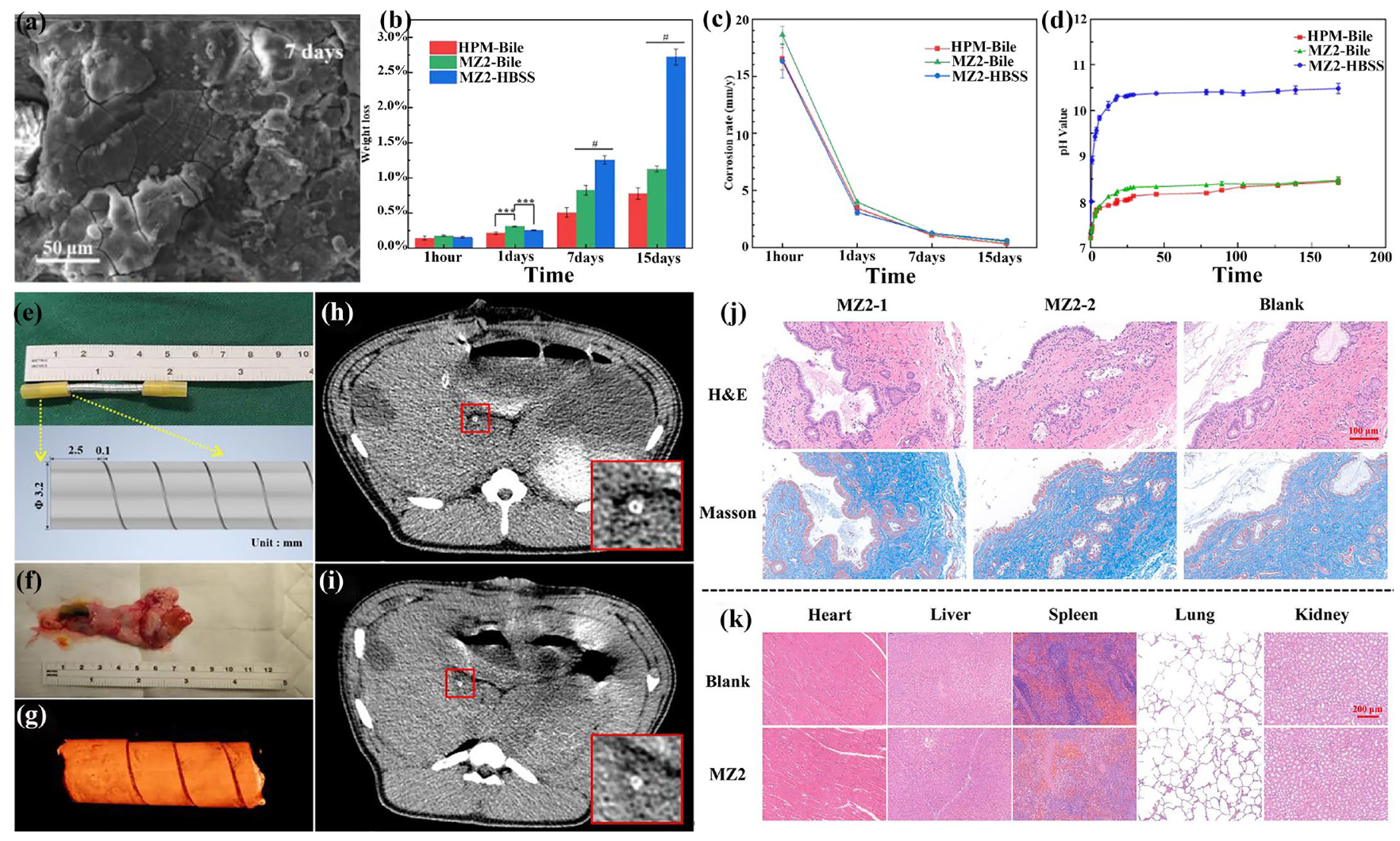 Materials 18 01718 g017