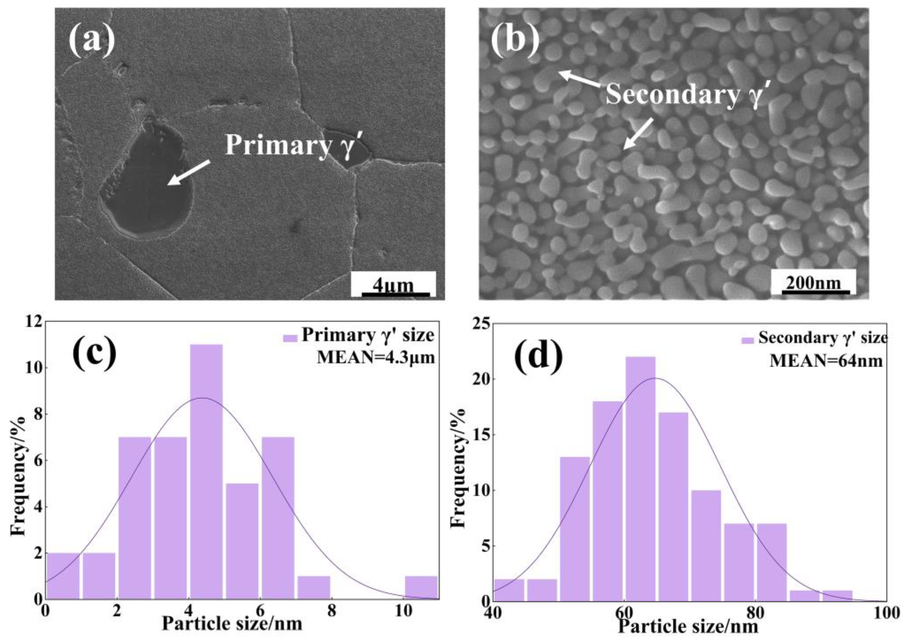Materials 18 01749 g001