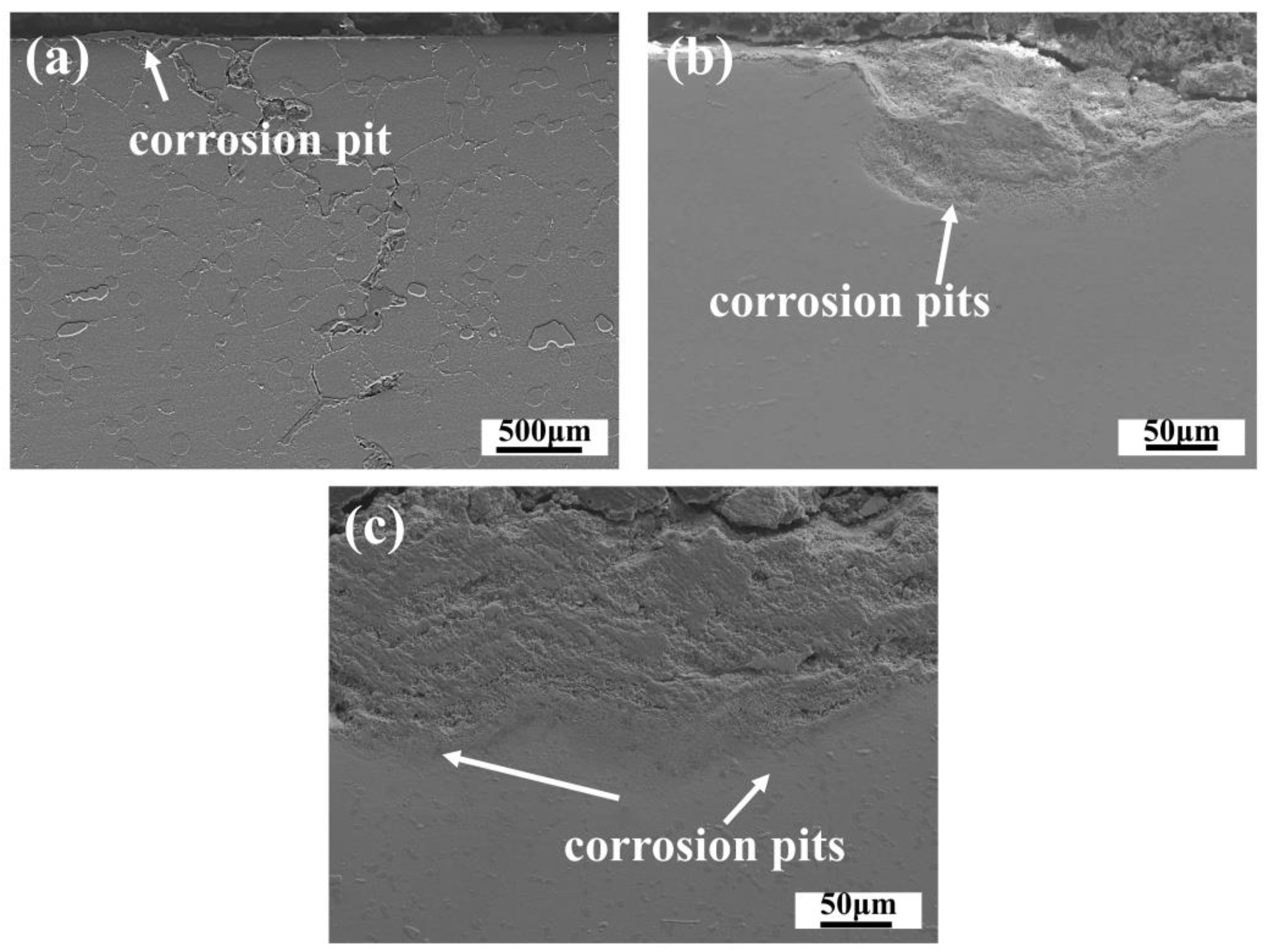 Materials 18 01749 g015