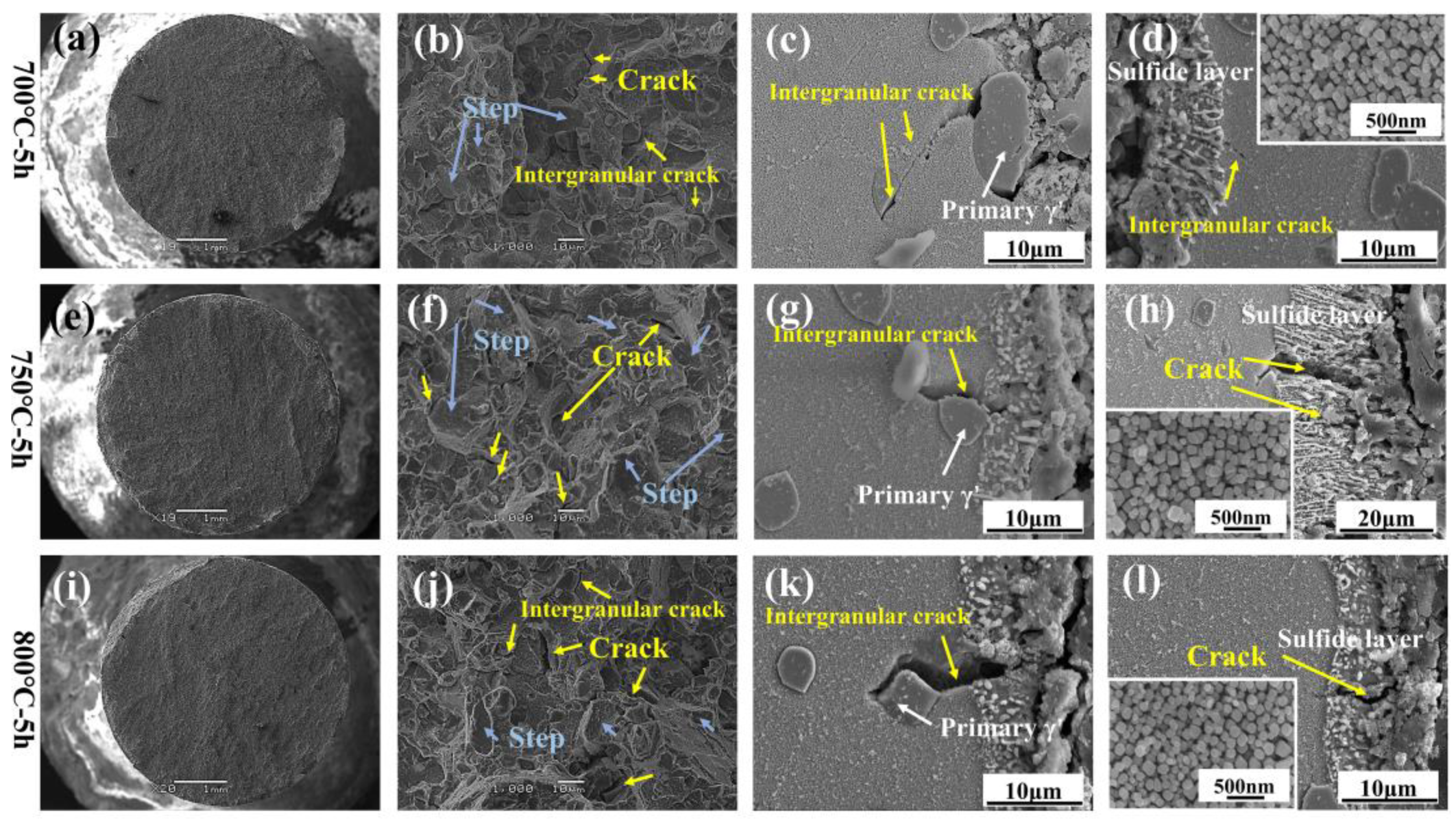 Materials 18 01749 g016