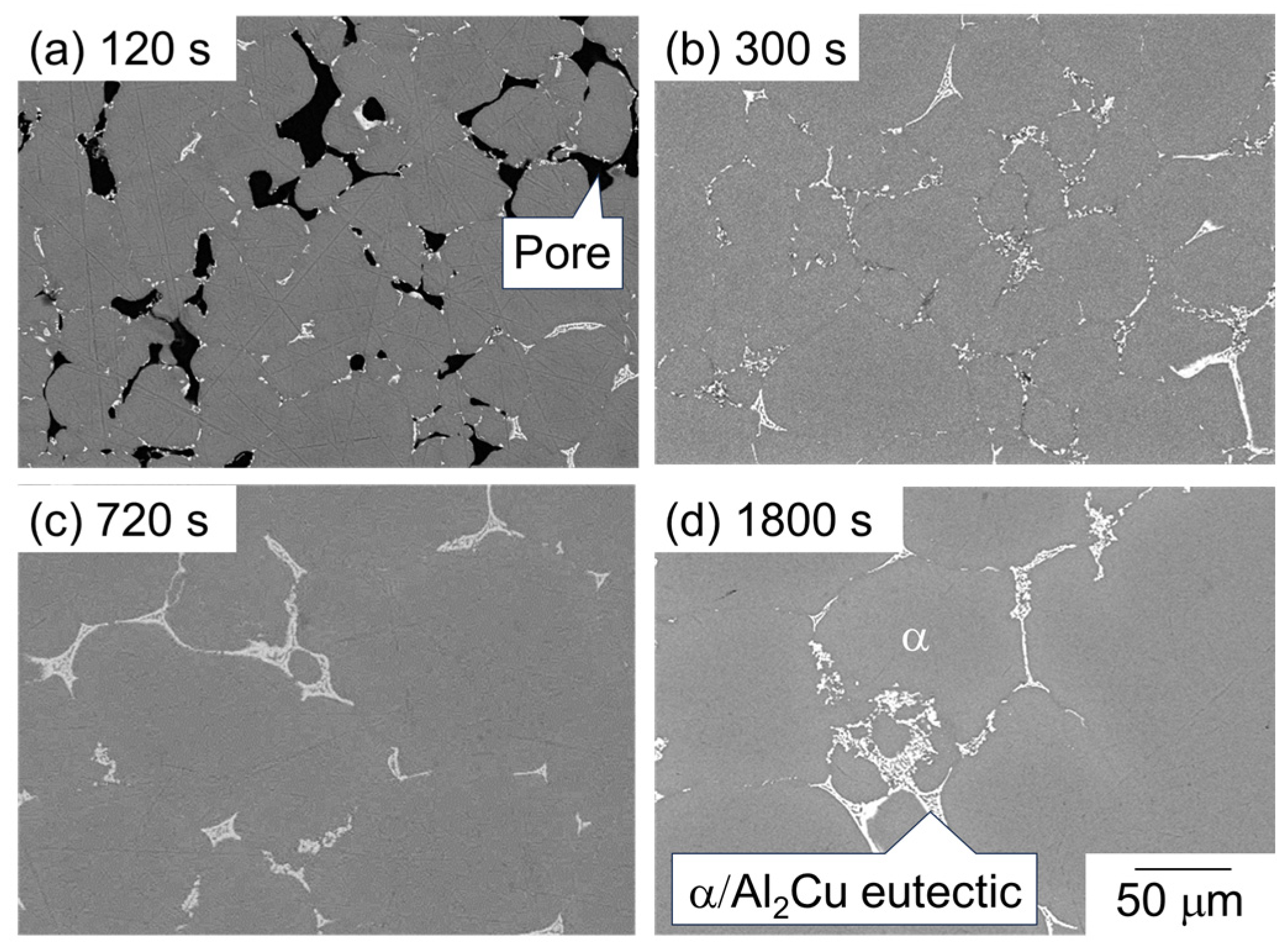 Materials 18 01755 g005