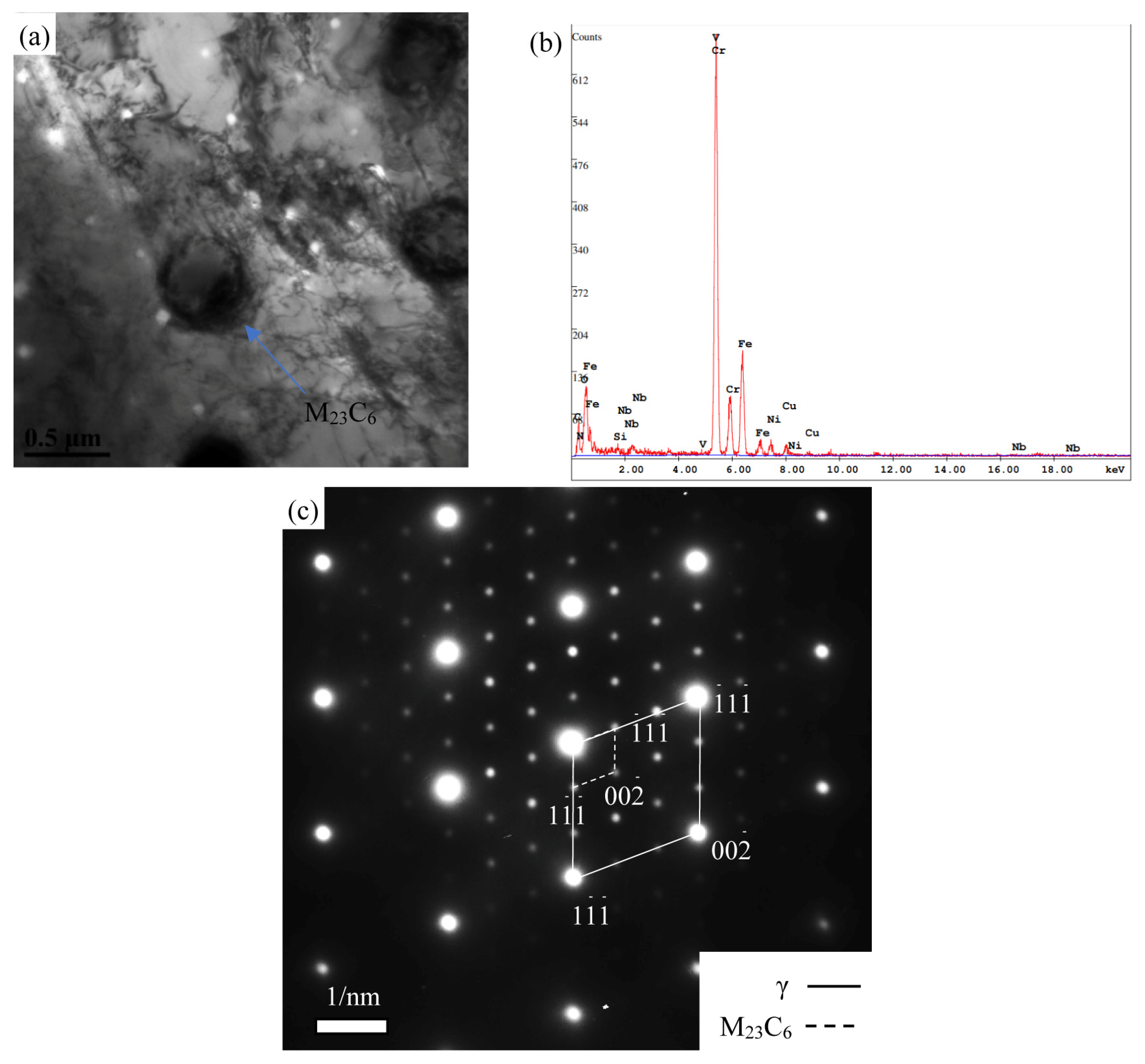 Materials 18 01756 g007