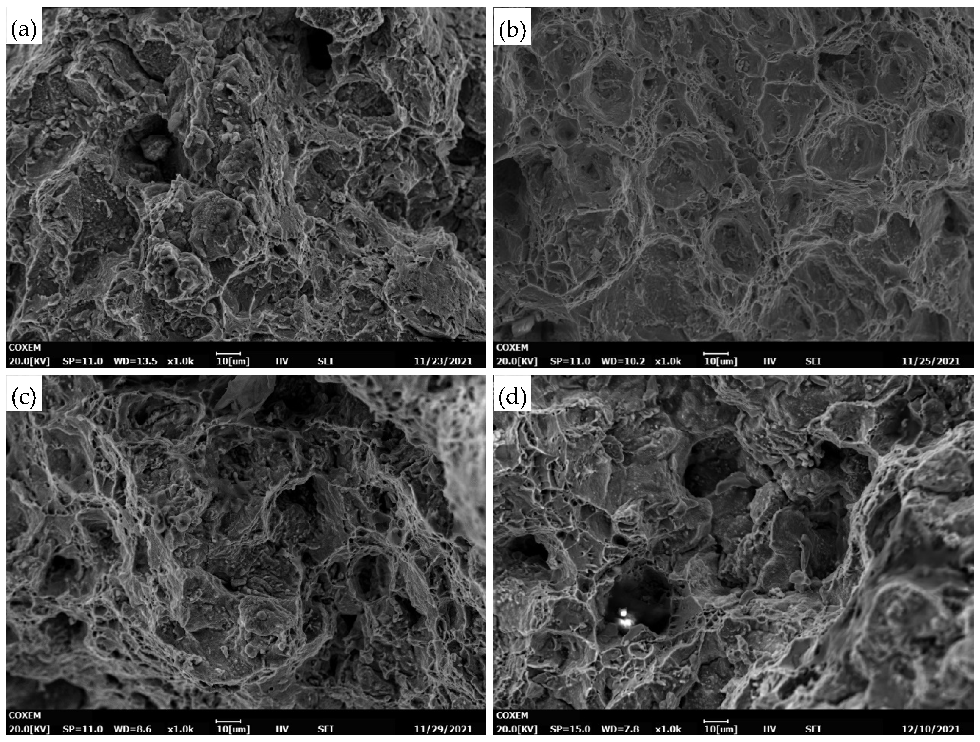 Materials 18 01756 g016