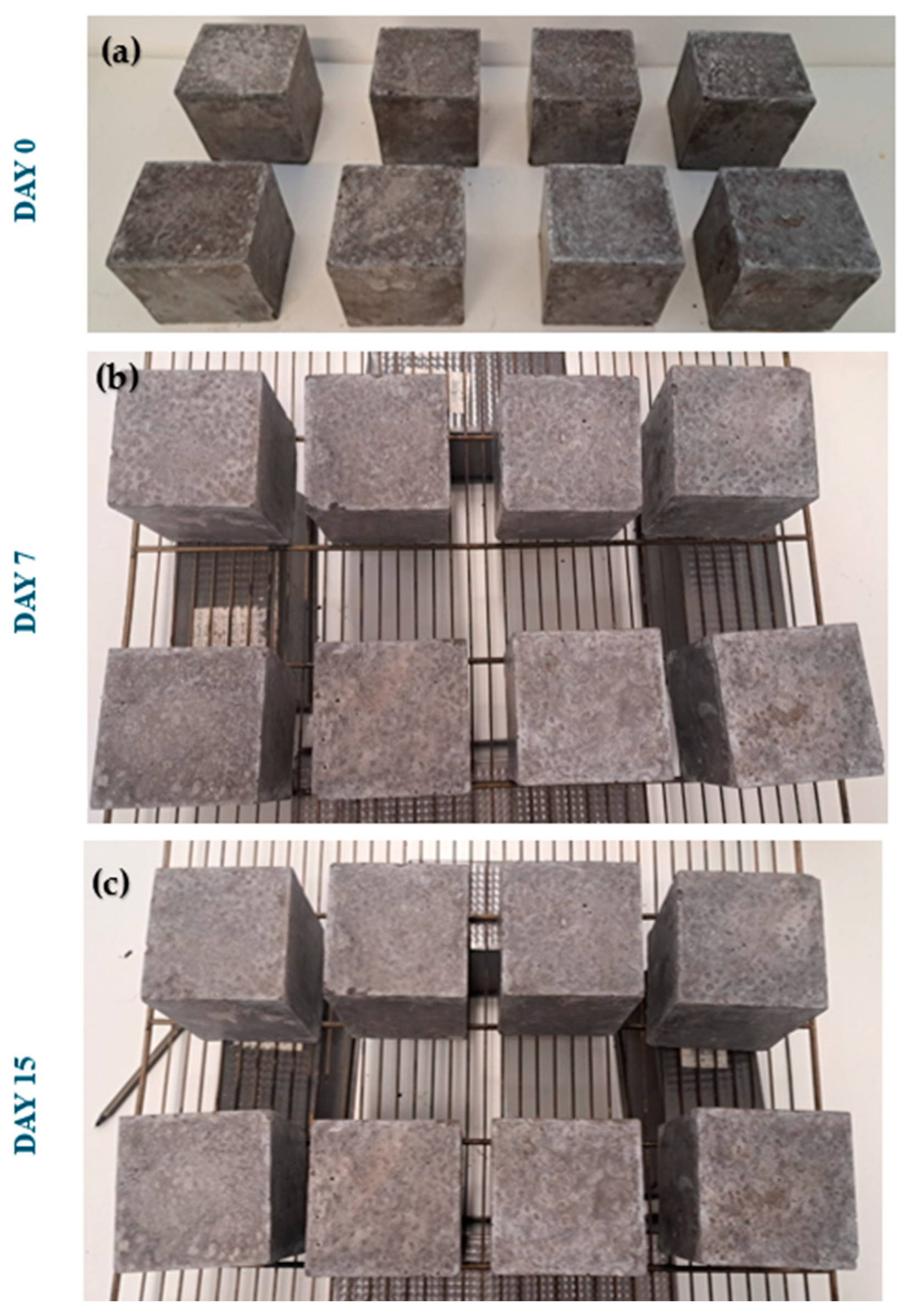 Materials 18 01774 g021