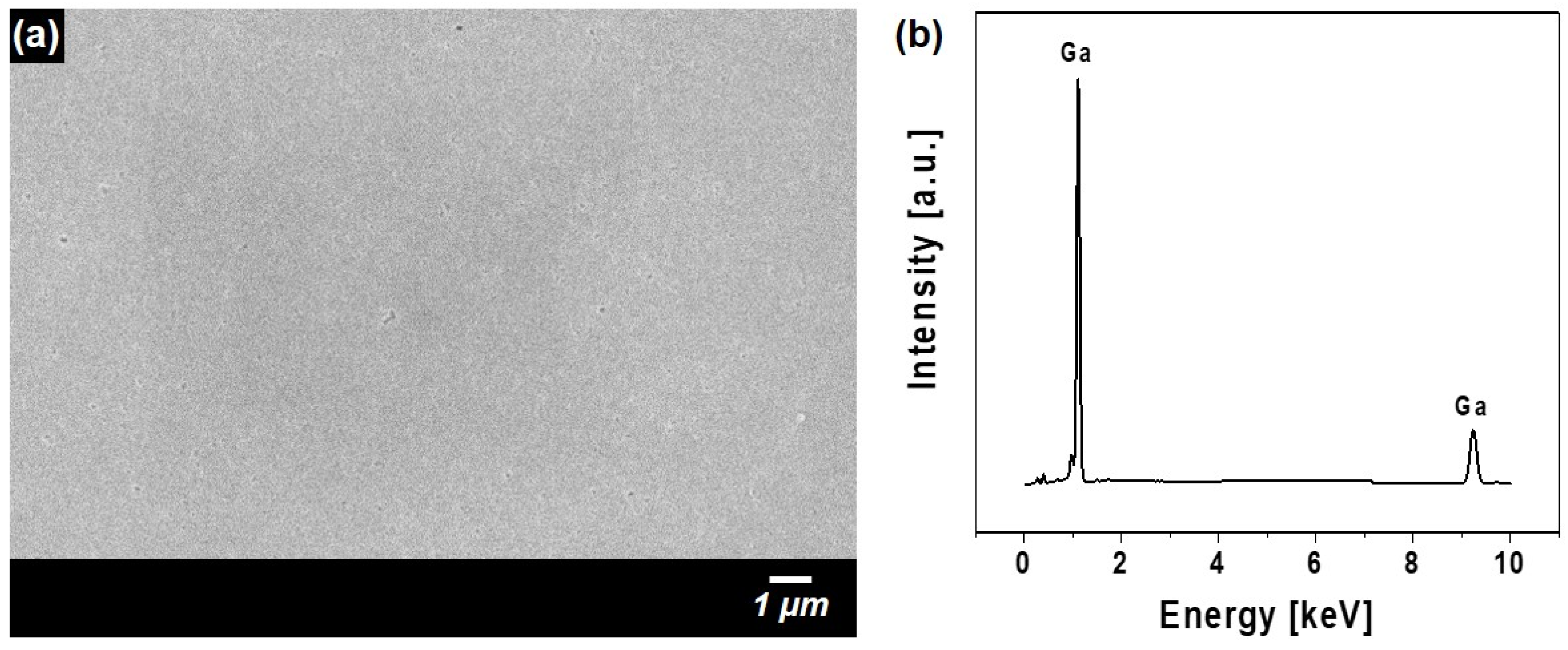 Materials 18 01817 g007