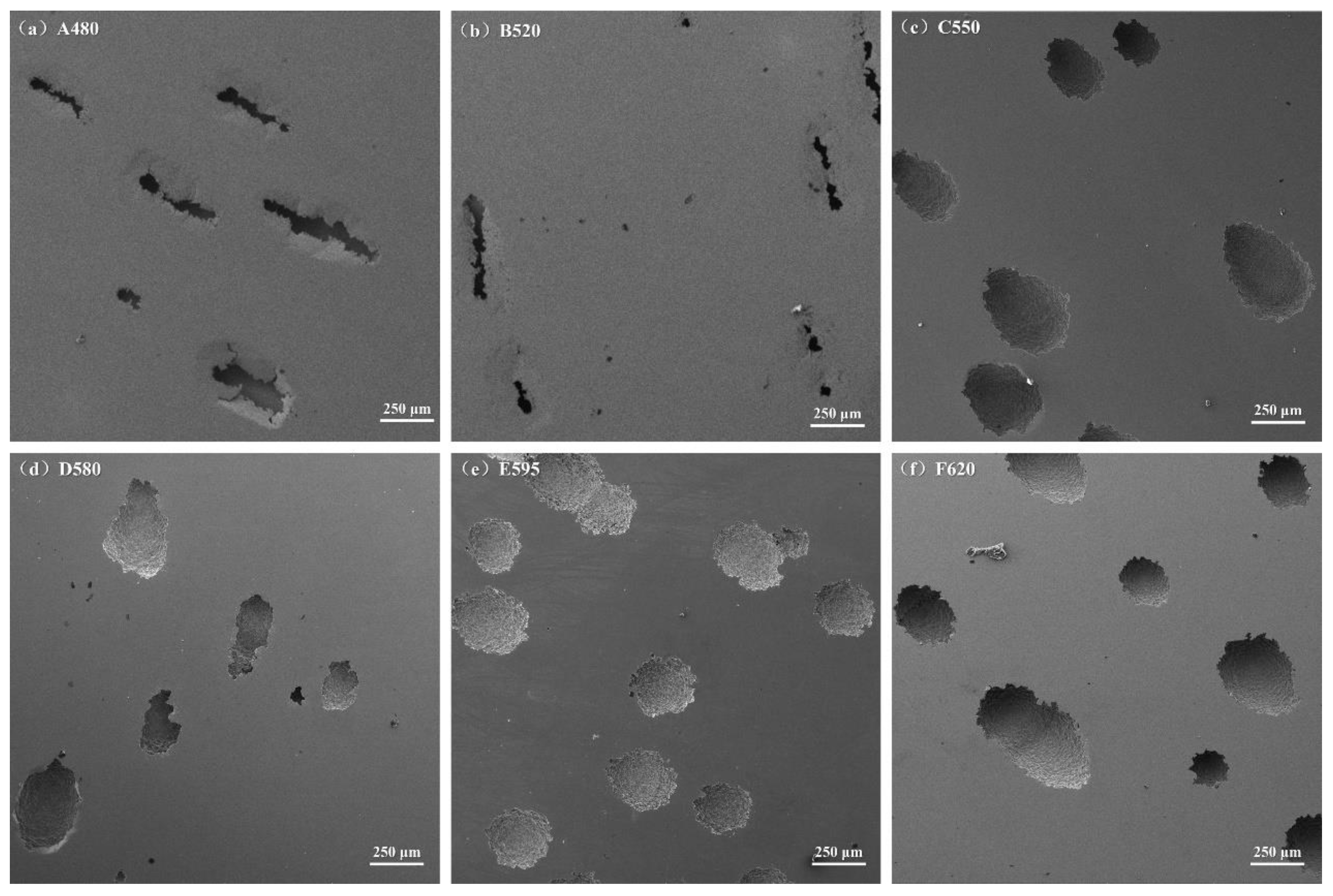 Materials 18 01823 g010