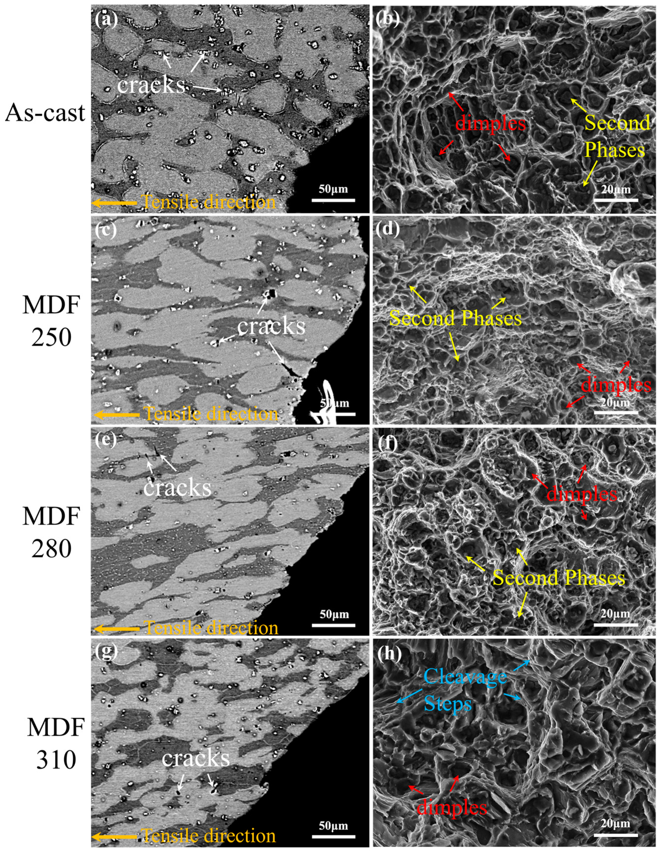 Materials 18 01829 g011