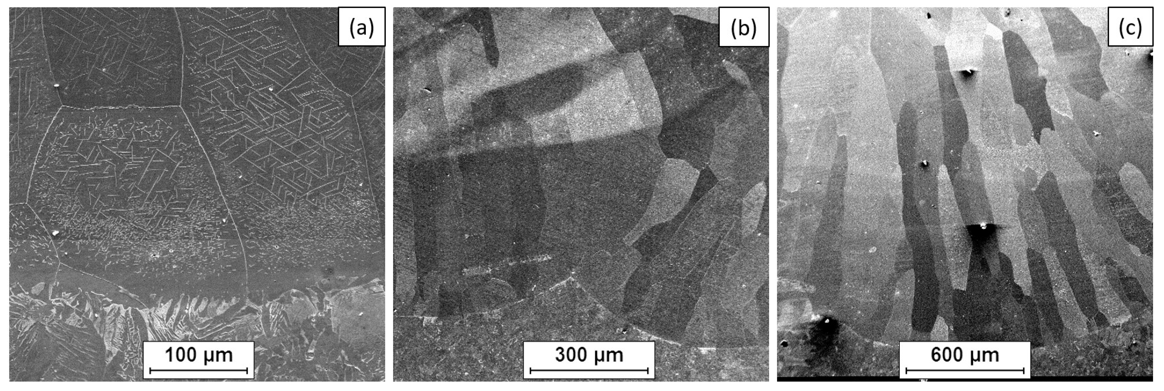 Materials 18 01835 g010