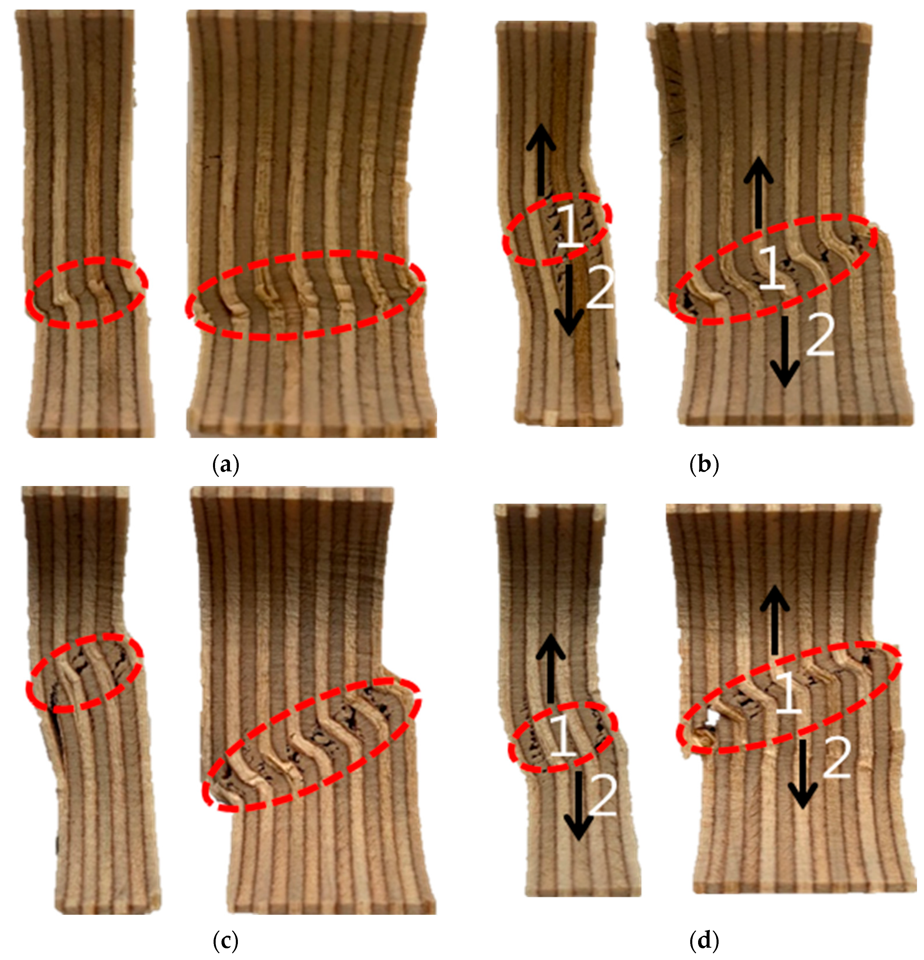 Materials 18 01836 g006