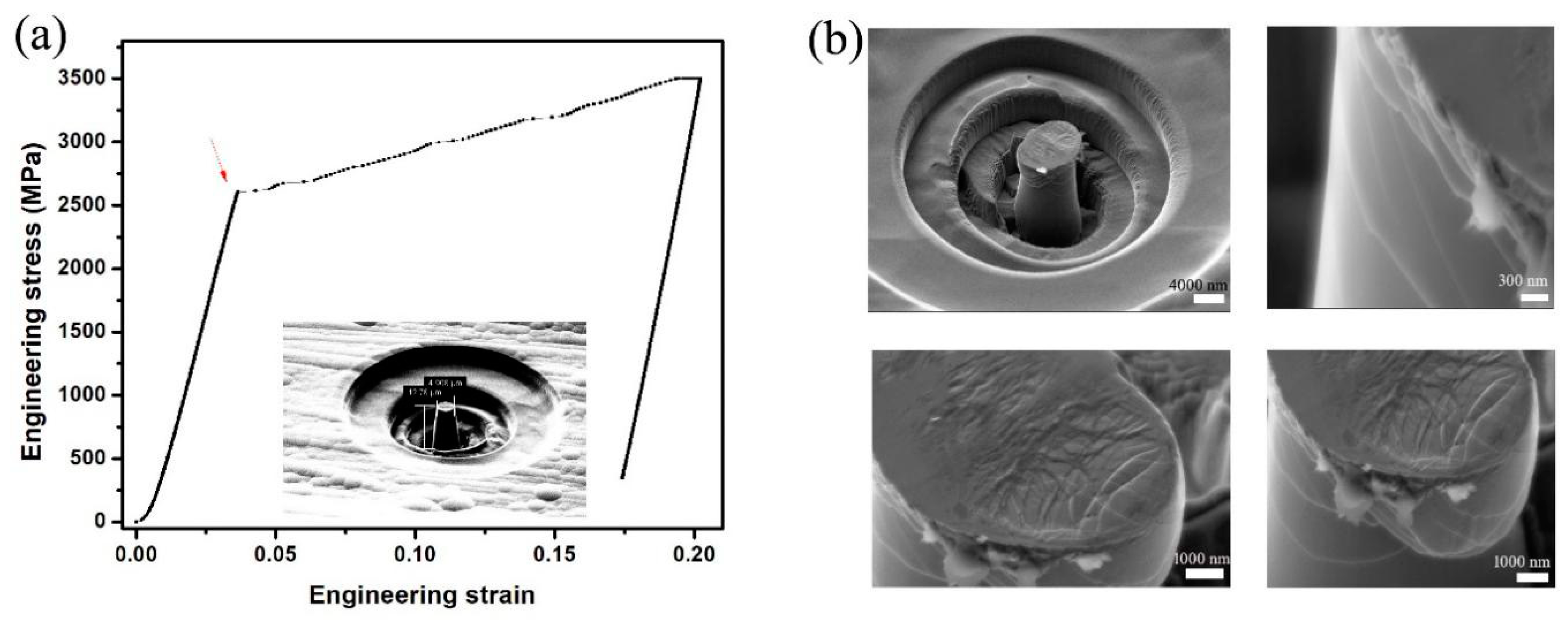 Materials 18 01853 g006