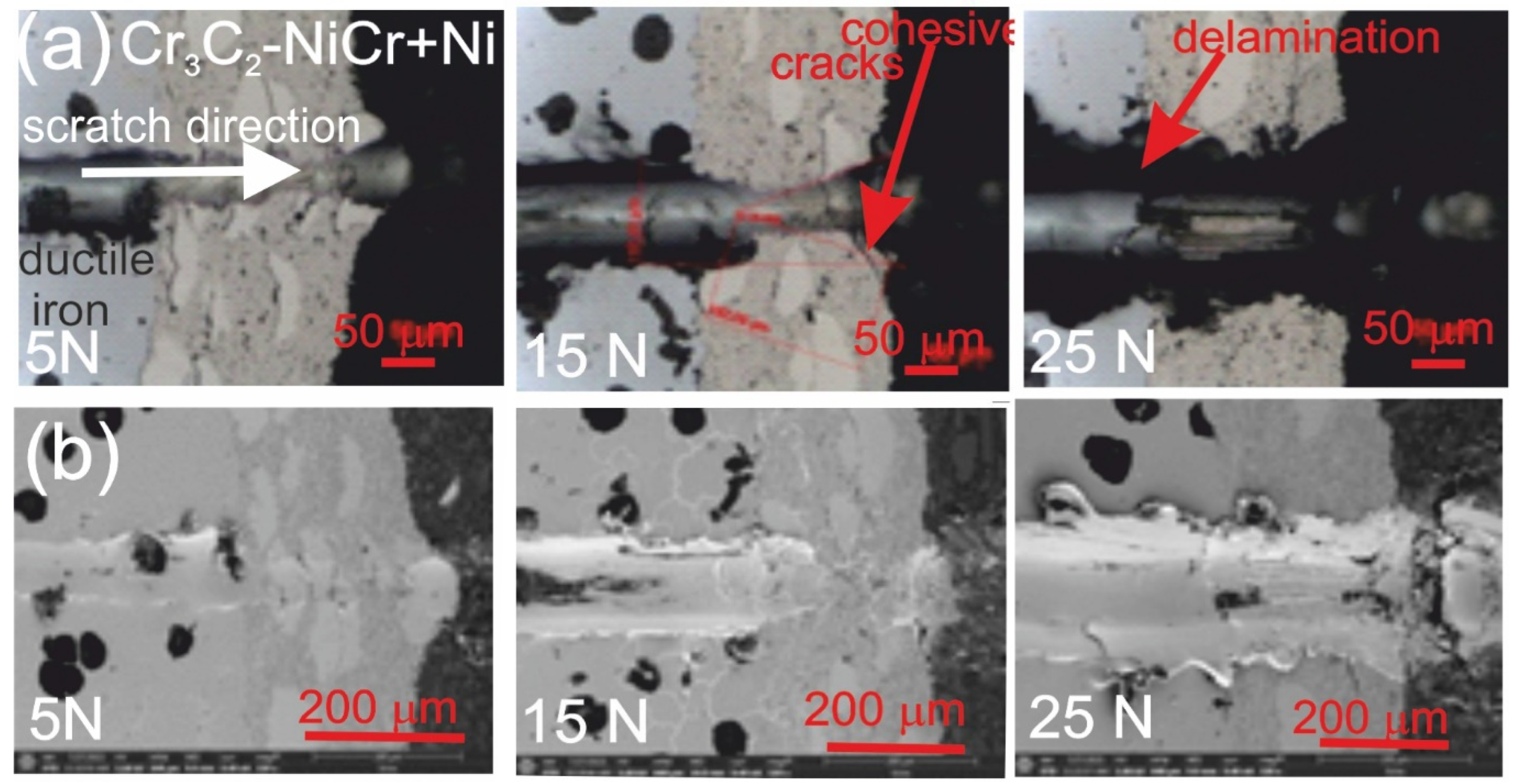 Materials 18 01856 g008