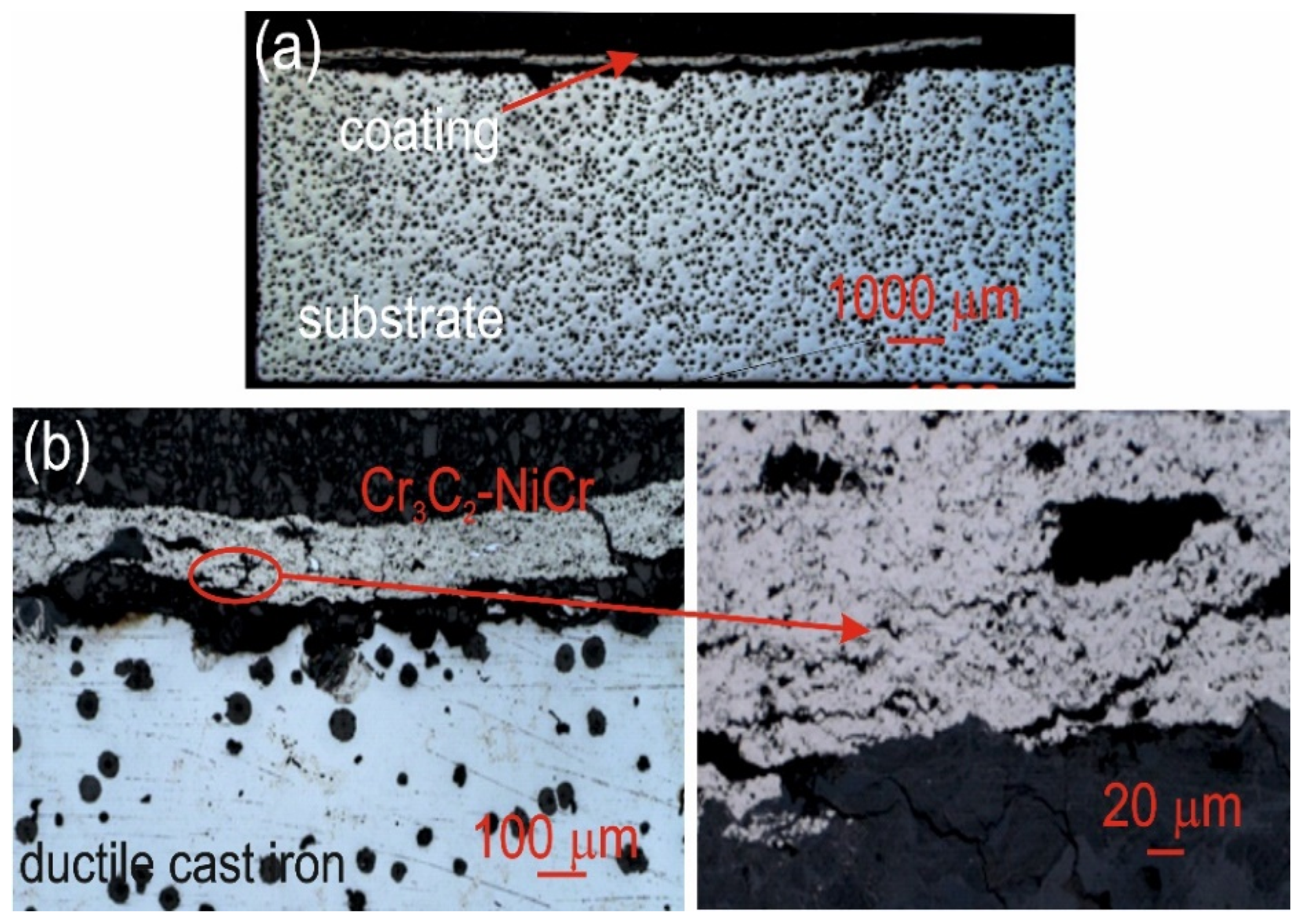 Materials 18 01856 g011