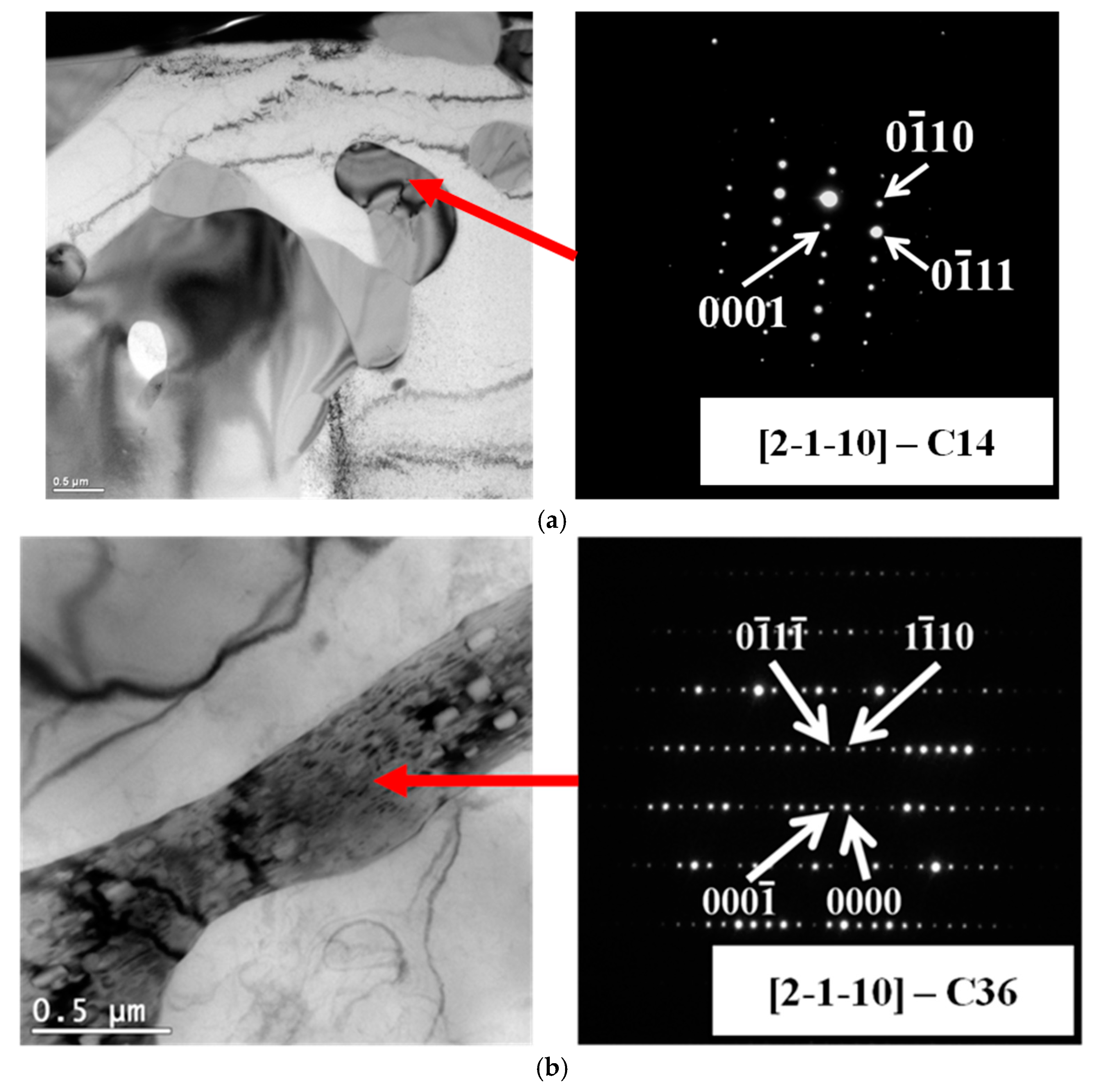 Materials 18 01860 g003 Materials 18 01860 g003