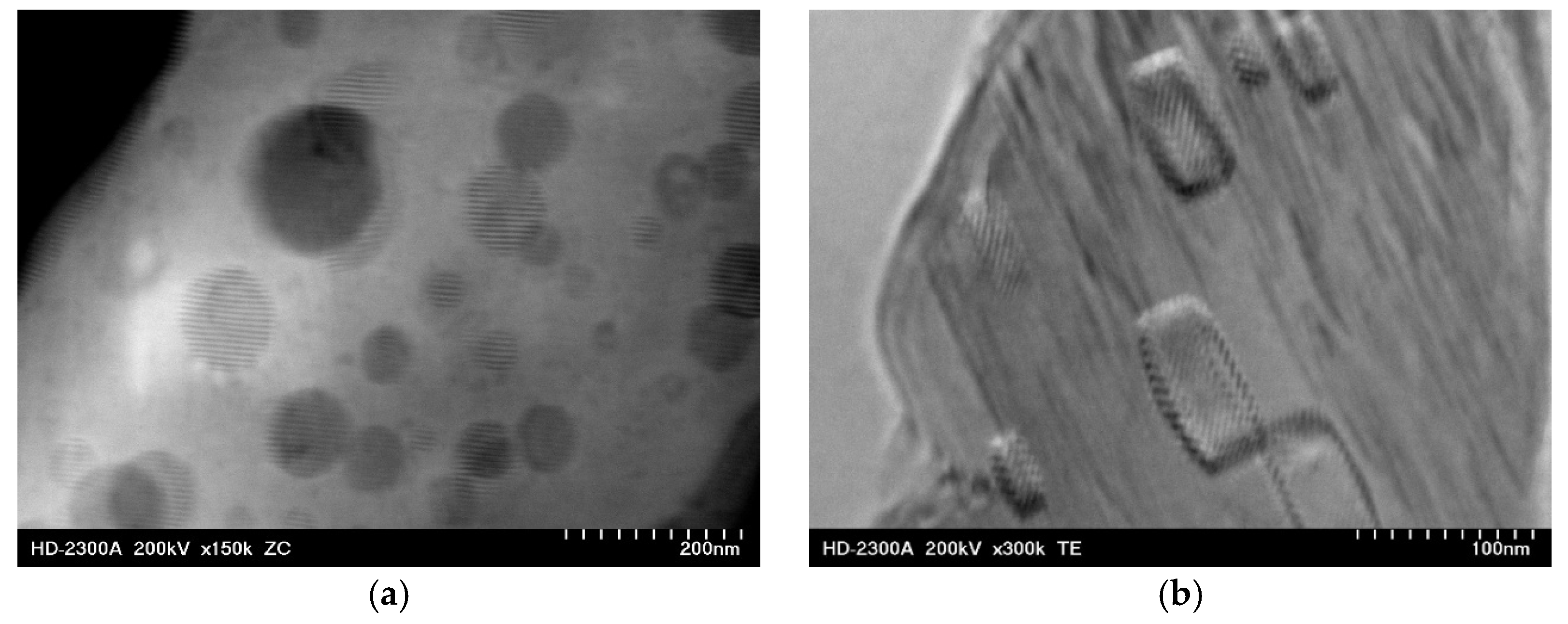 Materials 18 01860 g004 Materials 18 01860 g004