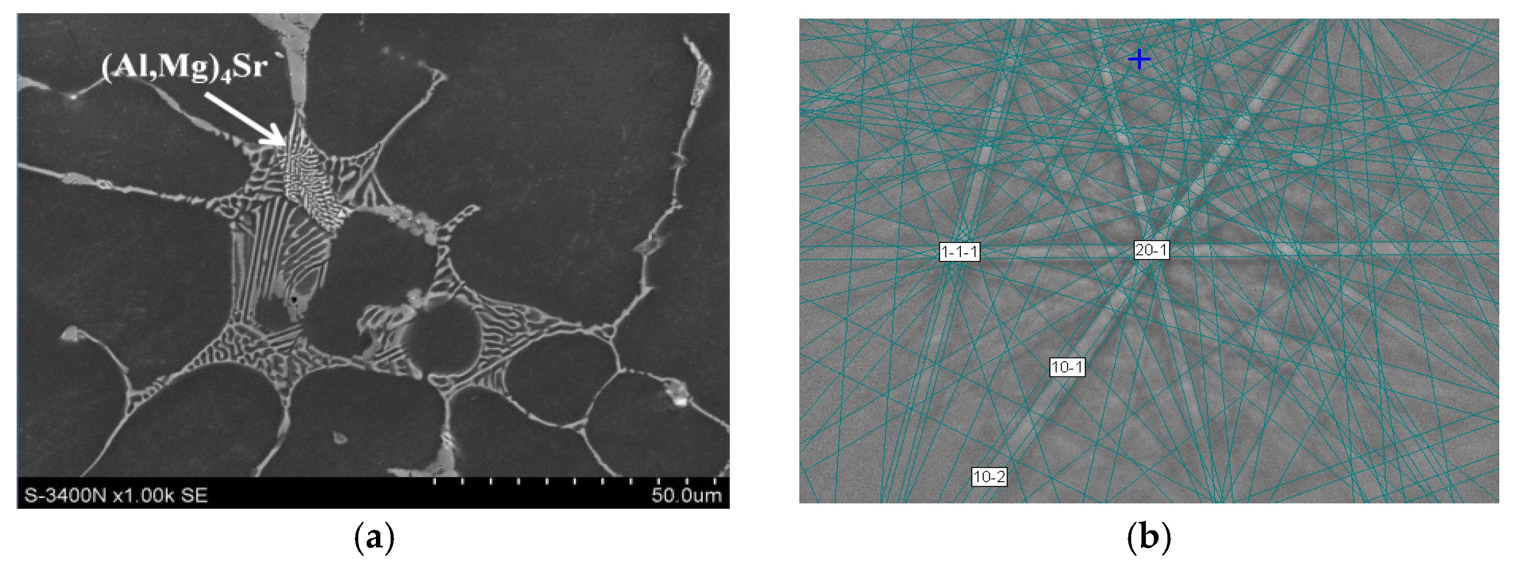 Materials 18 01860 g006 Materials 18 01860 g006