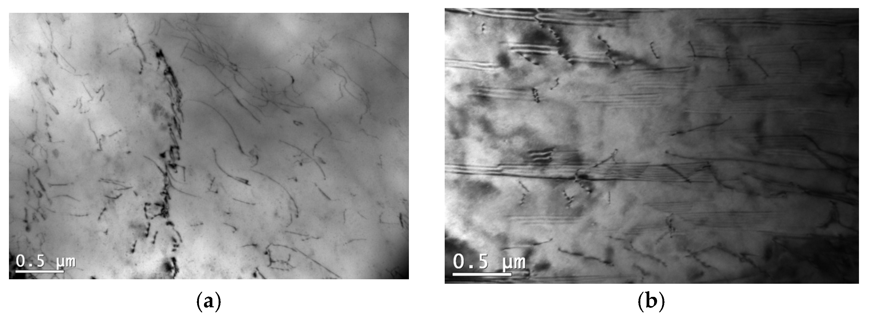 Materials 18 01860 g017 Materials 18 01860 g017