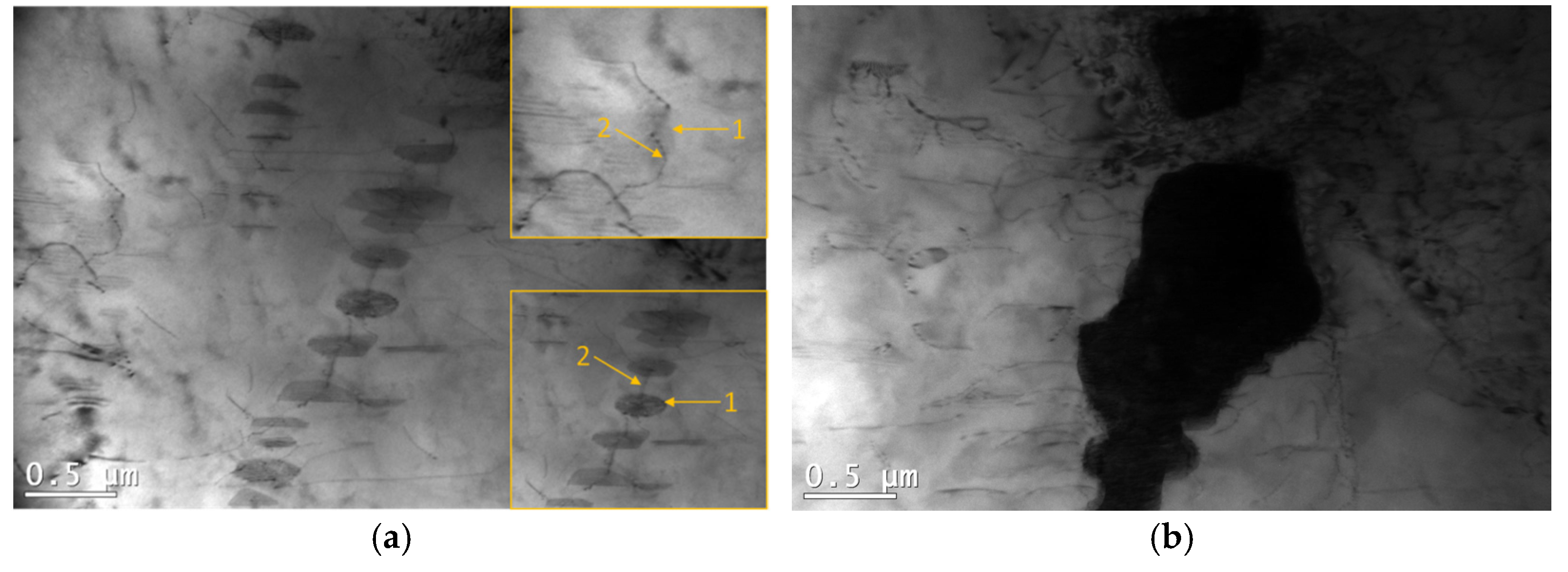 Materials 18 01860 g020 Materials 18 01860 g020