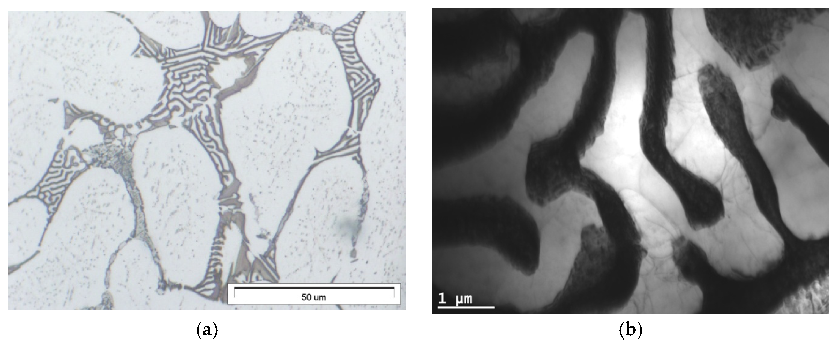 Materials 18 01860 g021 Materials 18 01860 g021