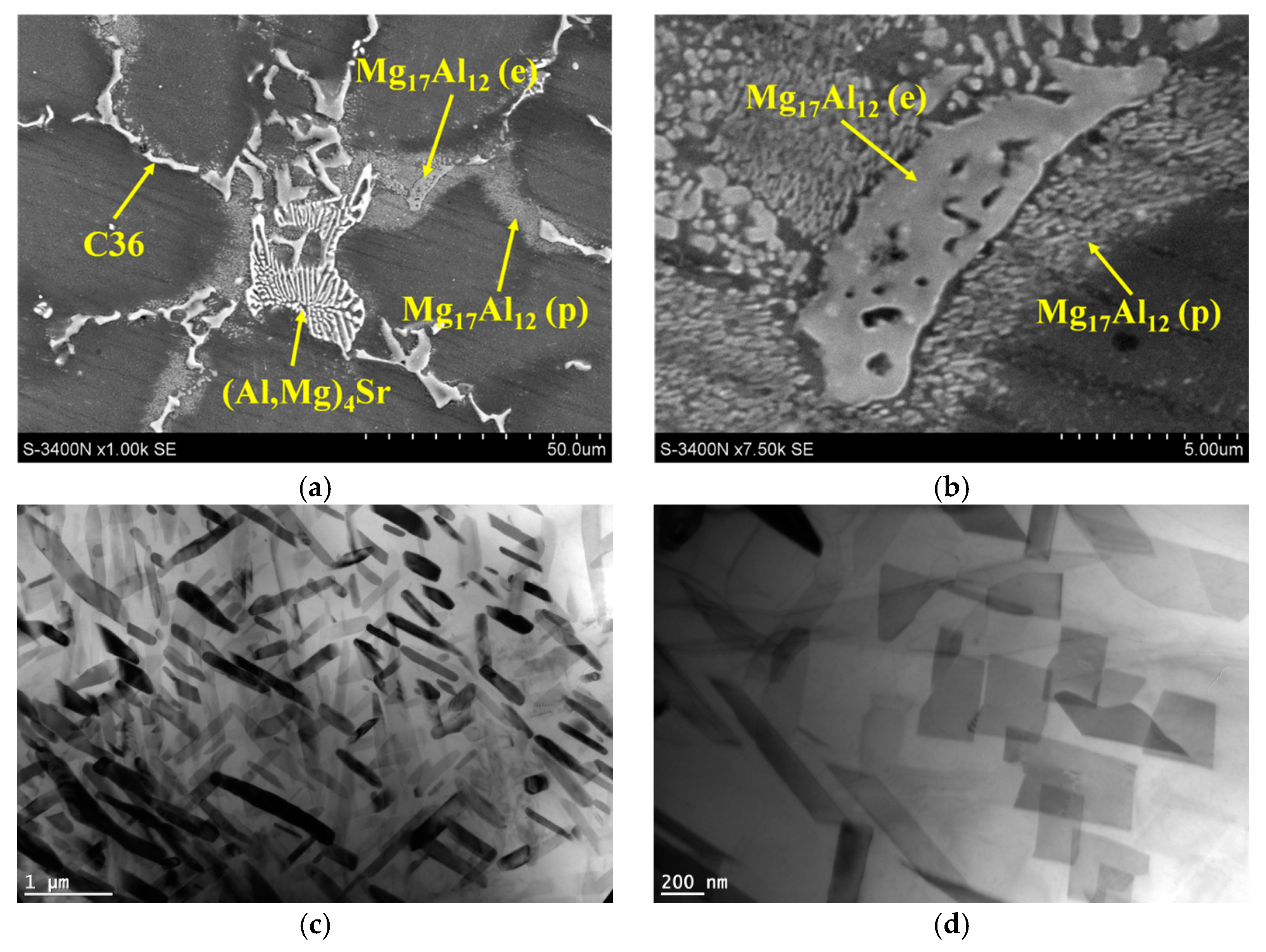 Materials 18 01860 g023 Materials 18 01860 g023